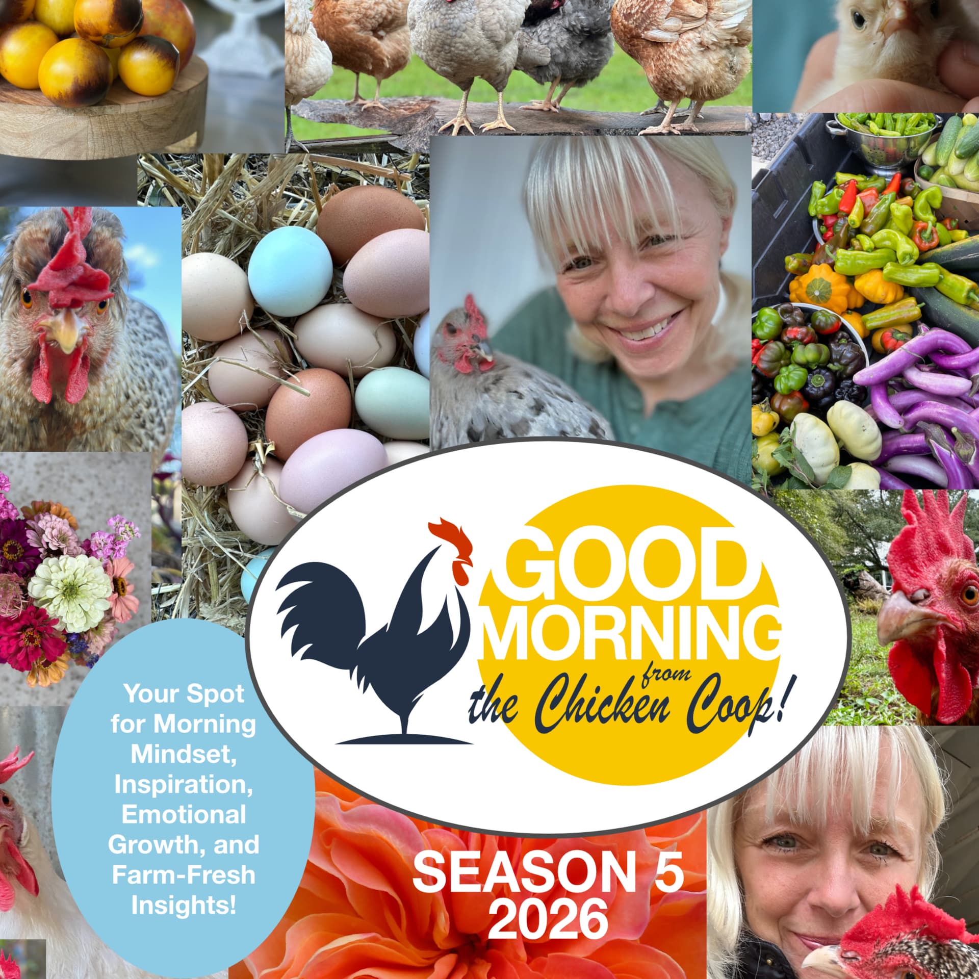 Good Morning From The Chicken Coop! - Podcasts