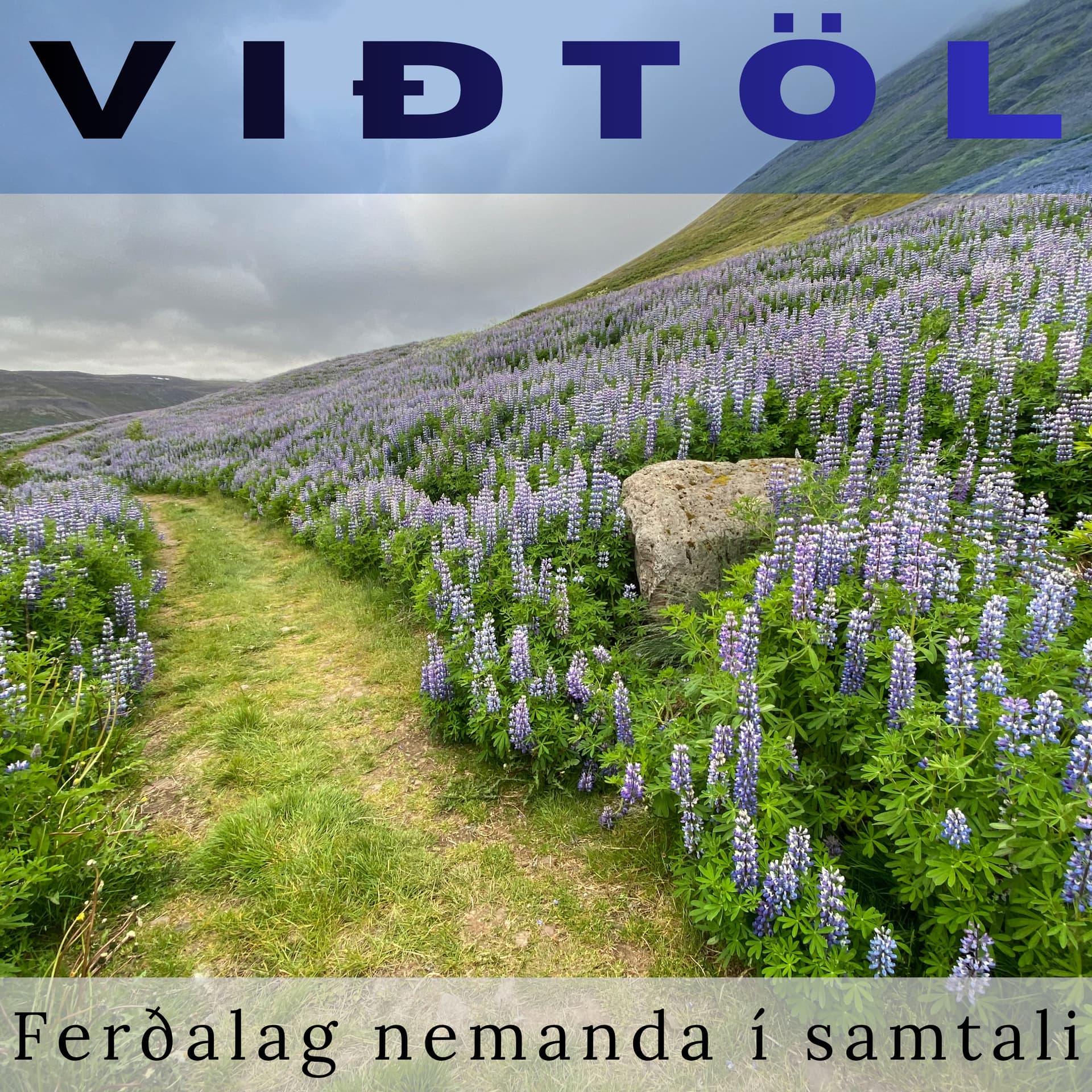 Viðtöl: Ferðalag nemanda í samtali - Podcast