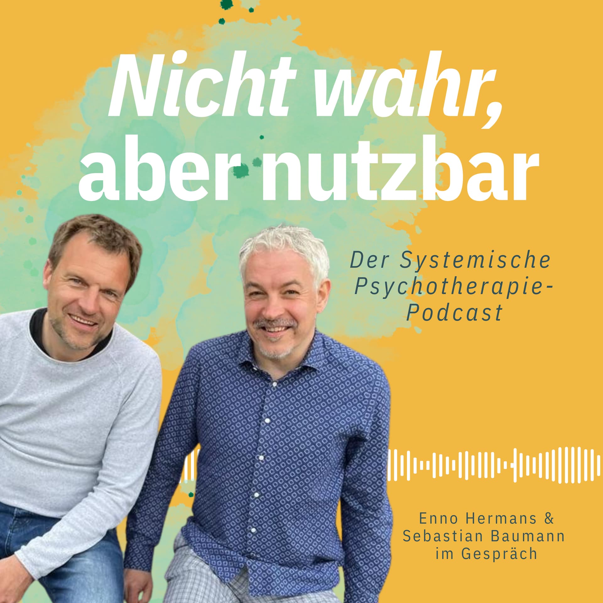 Nicht wahr, aber nutzbar - der Systemische Psychotherapie-Podcast - Podcast