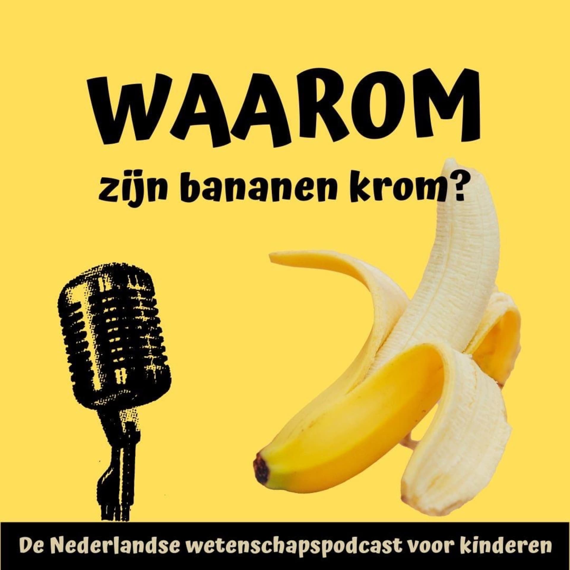 Waarom zijn bananen krom? - Podcast
