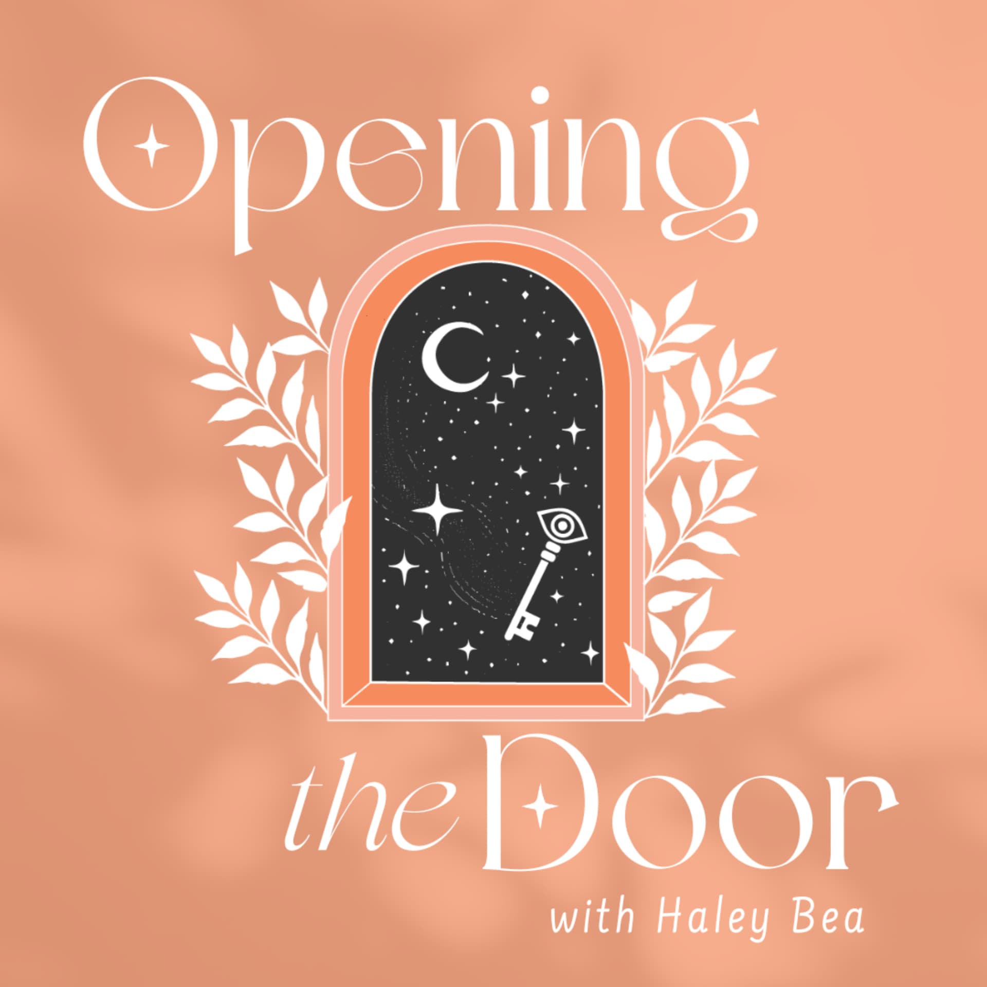Opening The Door - بودكاست