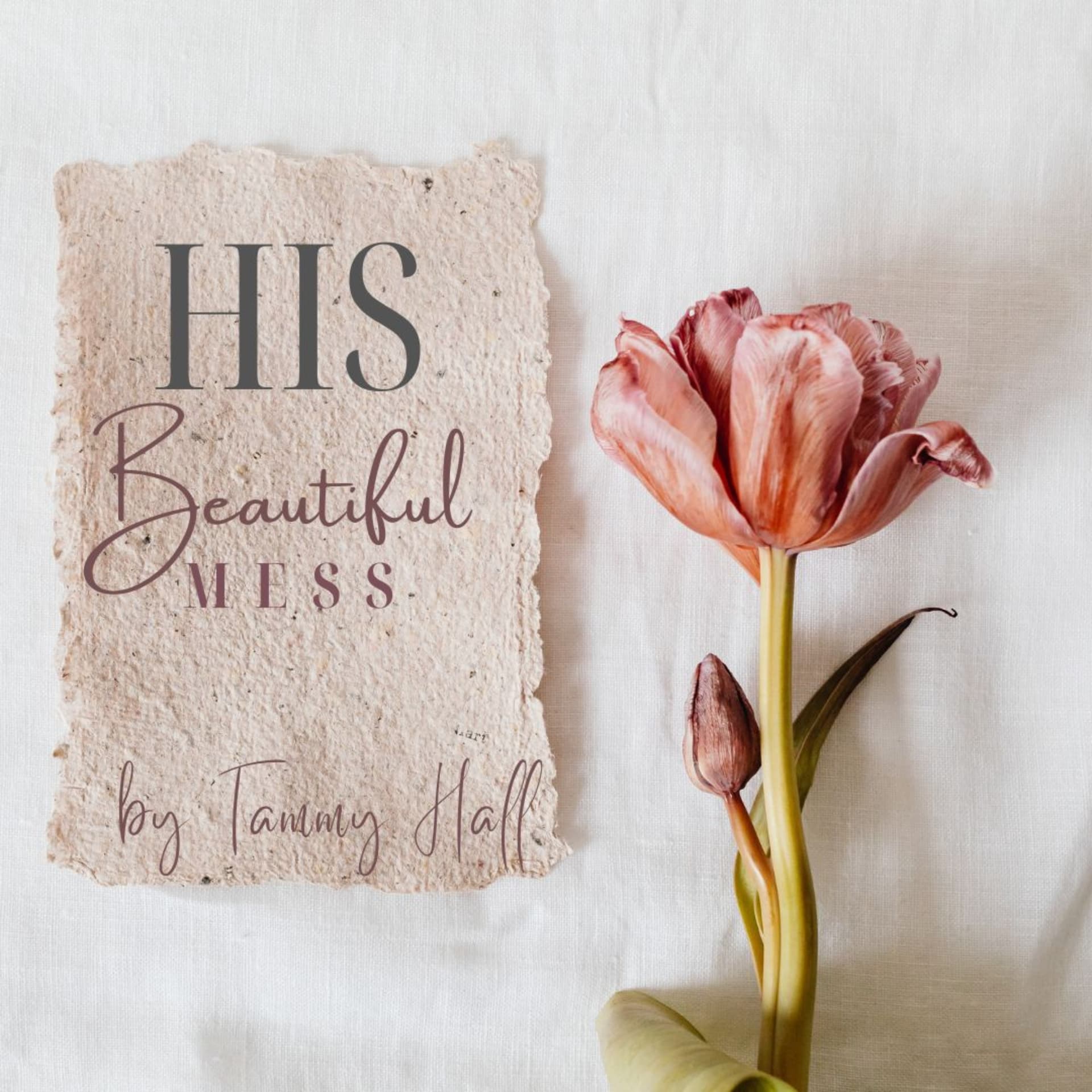 His Beautiful Mess - بودكاست