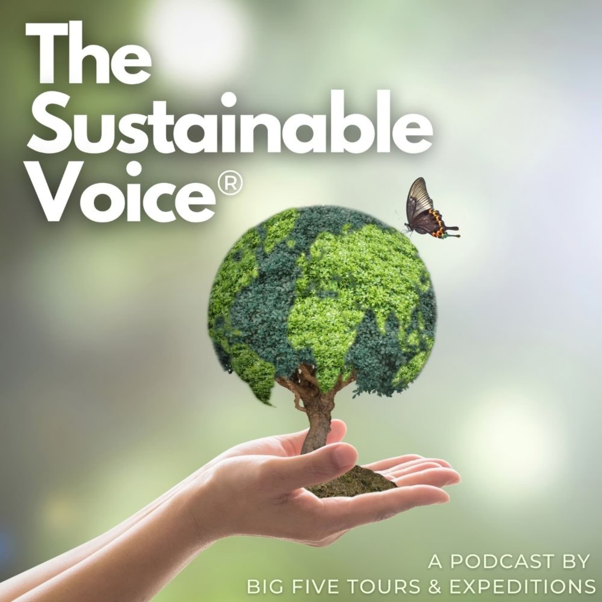 The Sustainable Voice® Podcast Presented by Big Five Tours and Expeditions - Podcasts