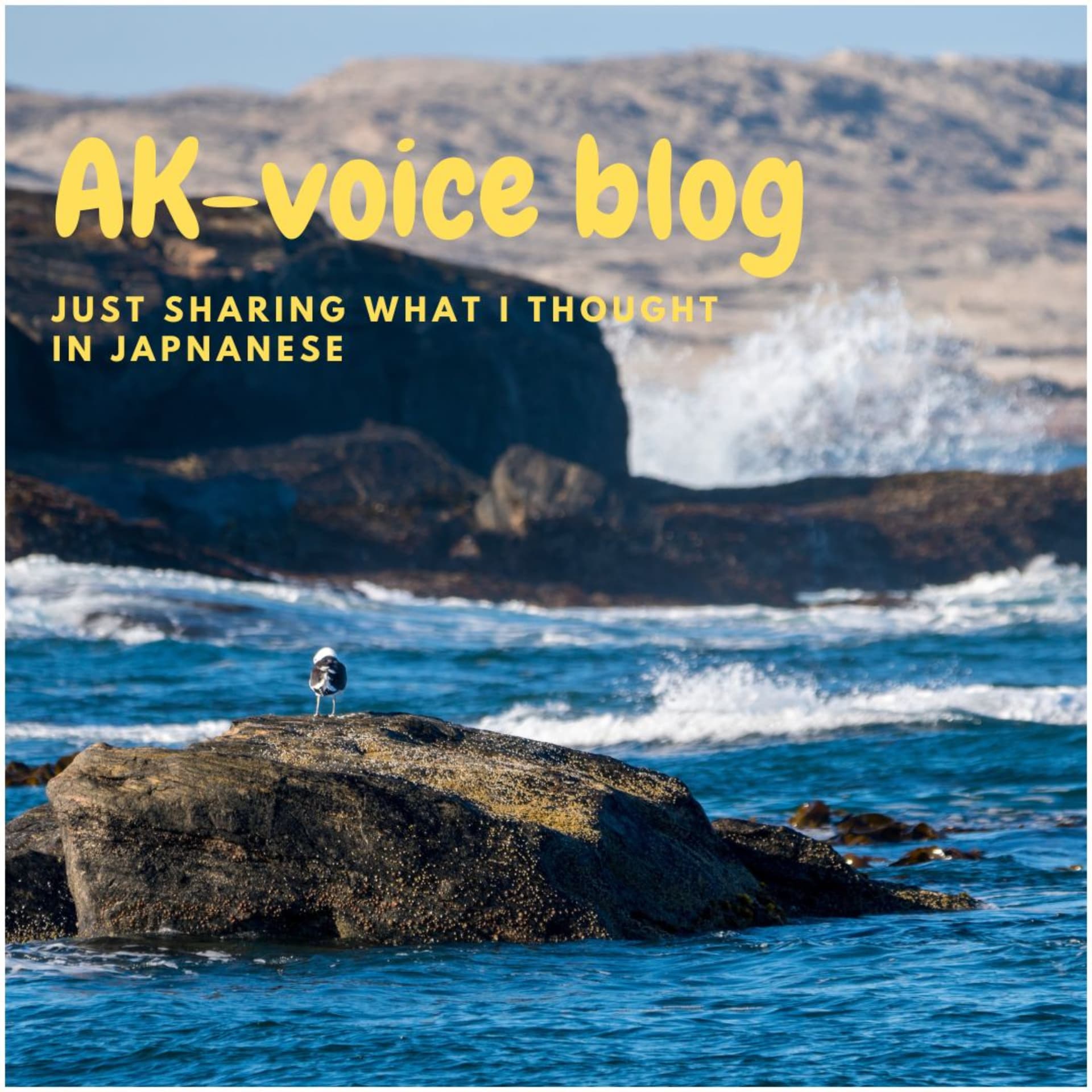 AK-voice blog in Japanese