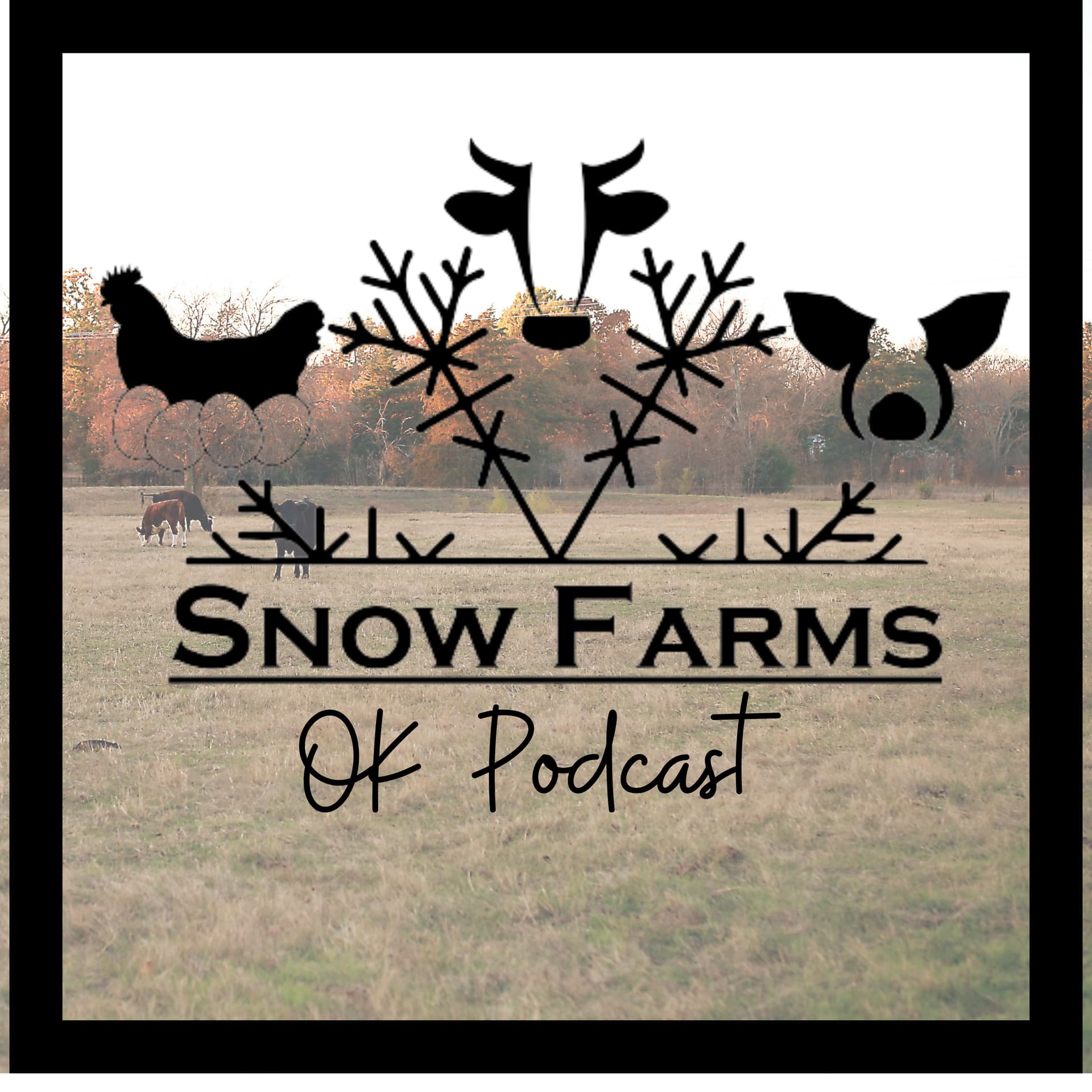 Snow Farms OK - Podcasts