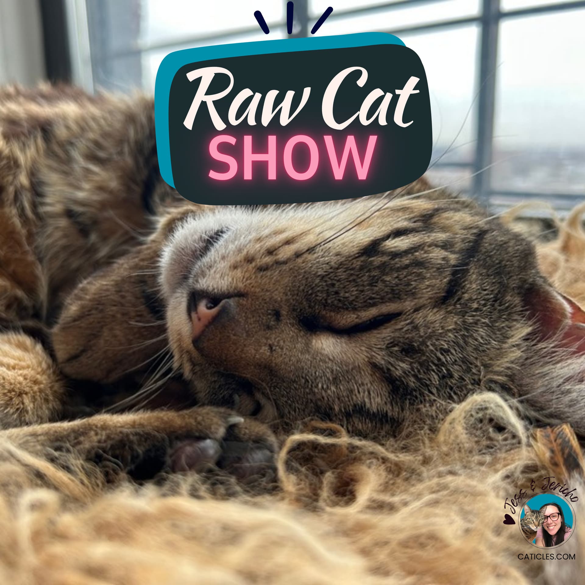 Raw Cat Show with Jess & Jericho caticles.com | Fun Enrichment | Raw Feeding | Whole Prey - Podcasts