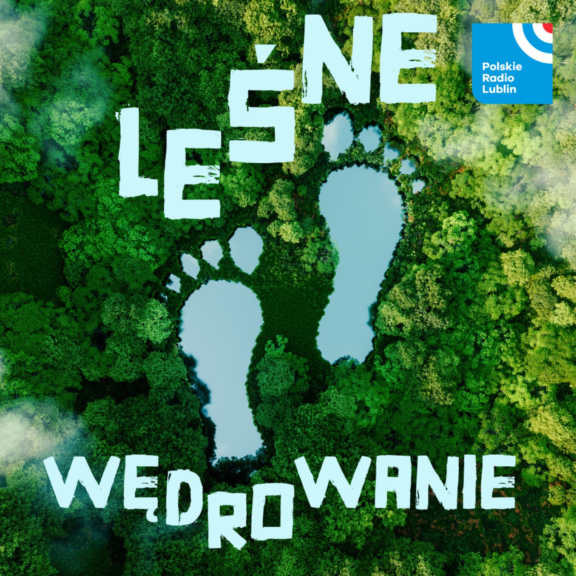 Leśne wędrowanie w Radiu Lublin - Podcasty