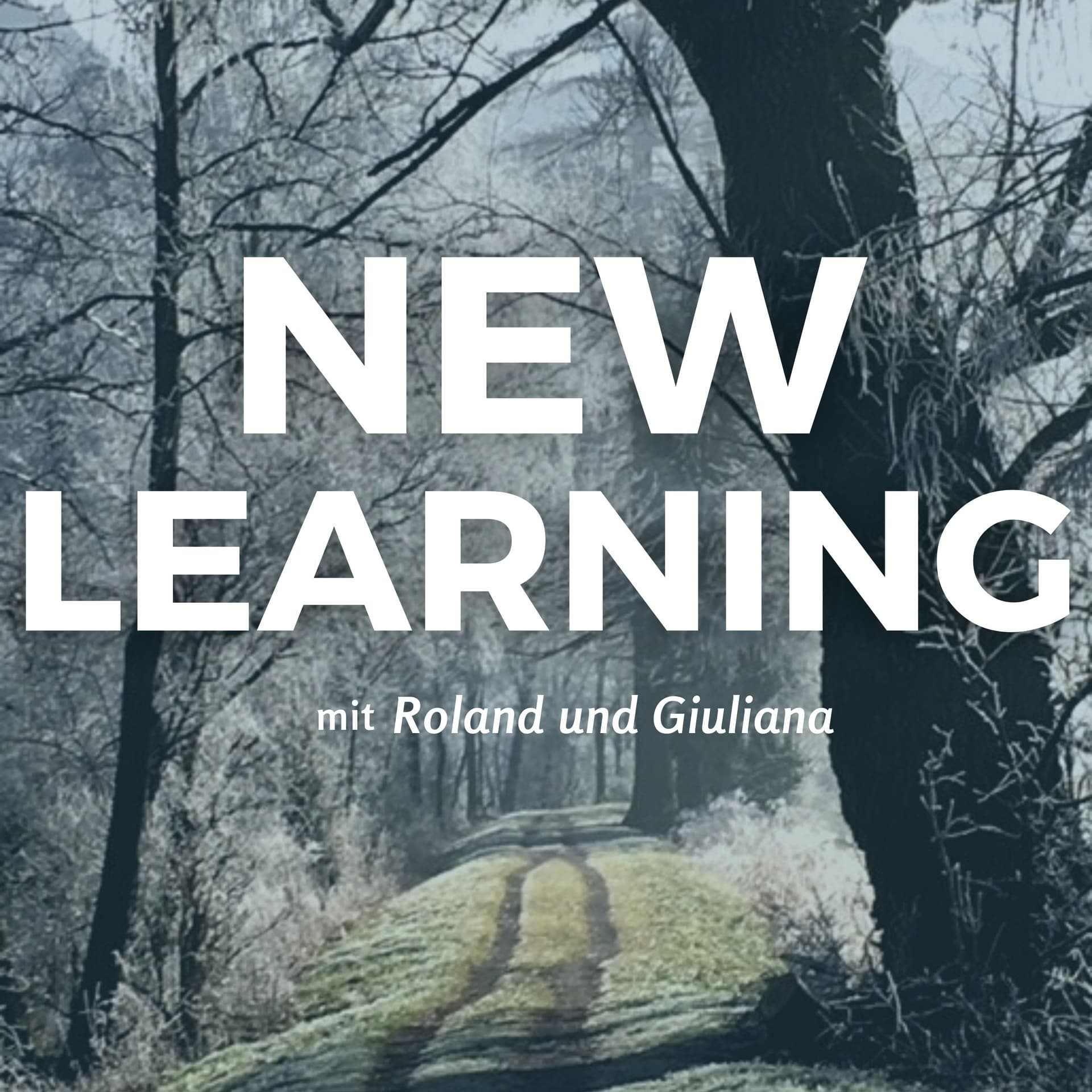 New Learning - Podcasts