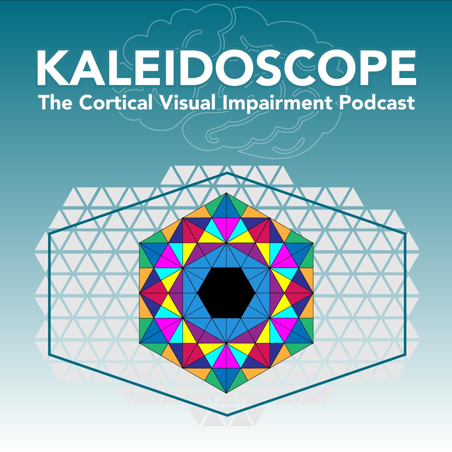 Kaleidoscope: The Cortical Visual Impairment Podcast - Podcasts