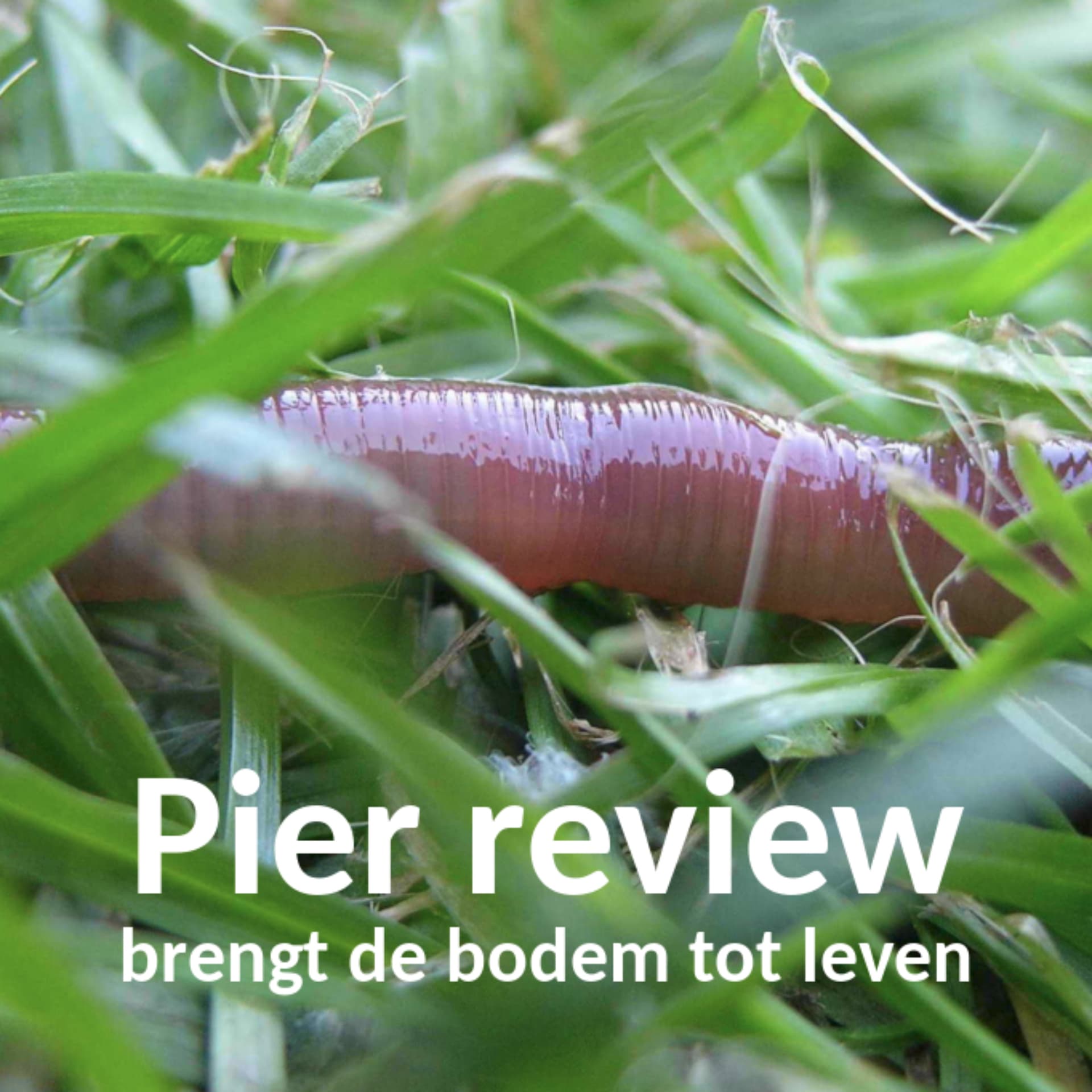 Pier review - brengt de bodem tot leven - Podcastler