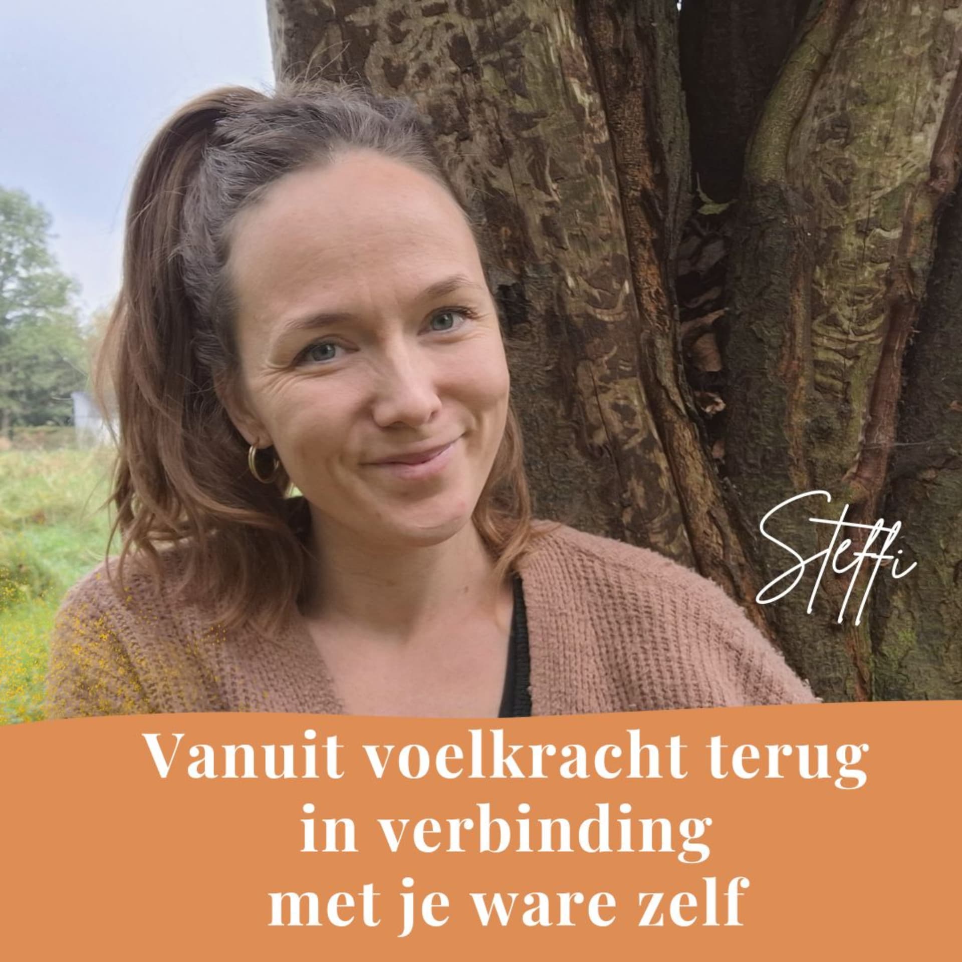 VOELVELD | Podcast - Podcasts