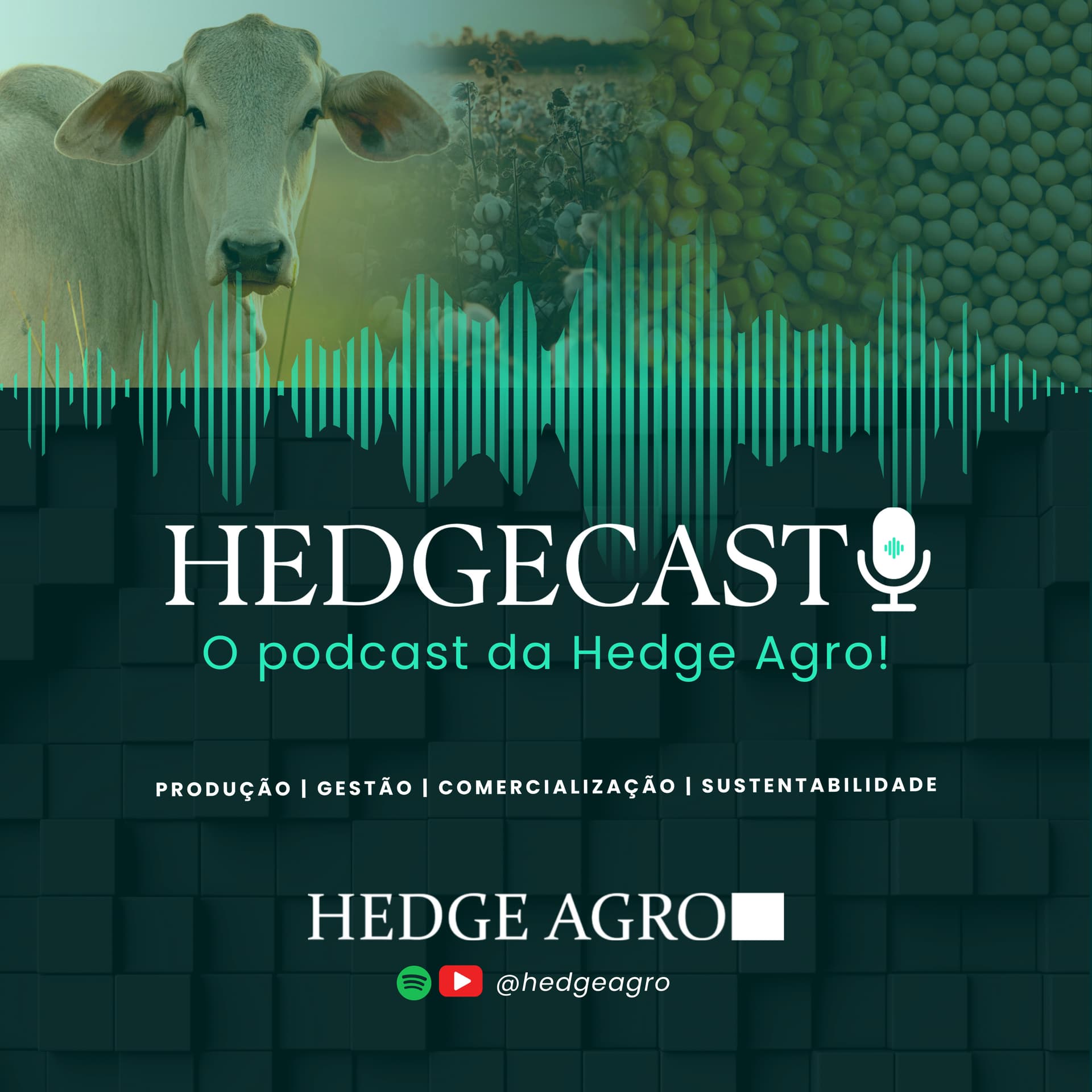 HedgeCast - Podcasts