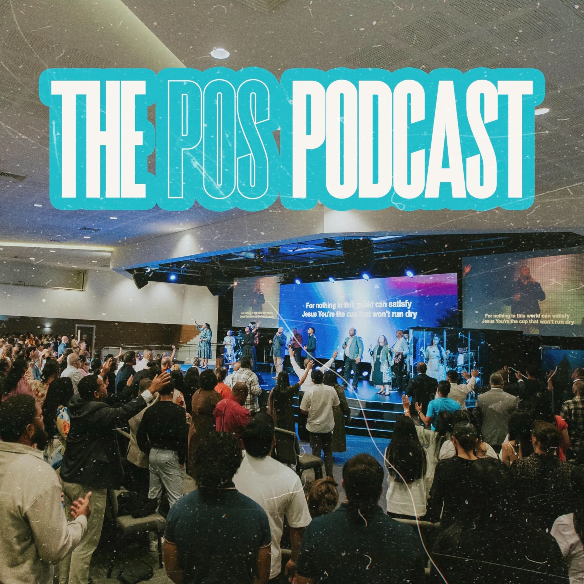 The POS Podcast - Podcasts