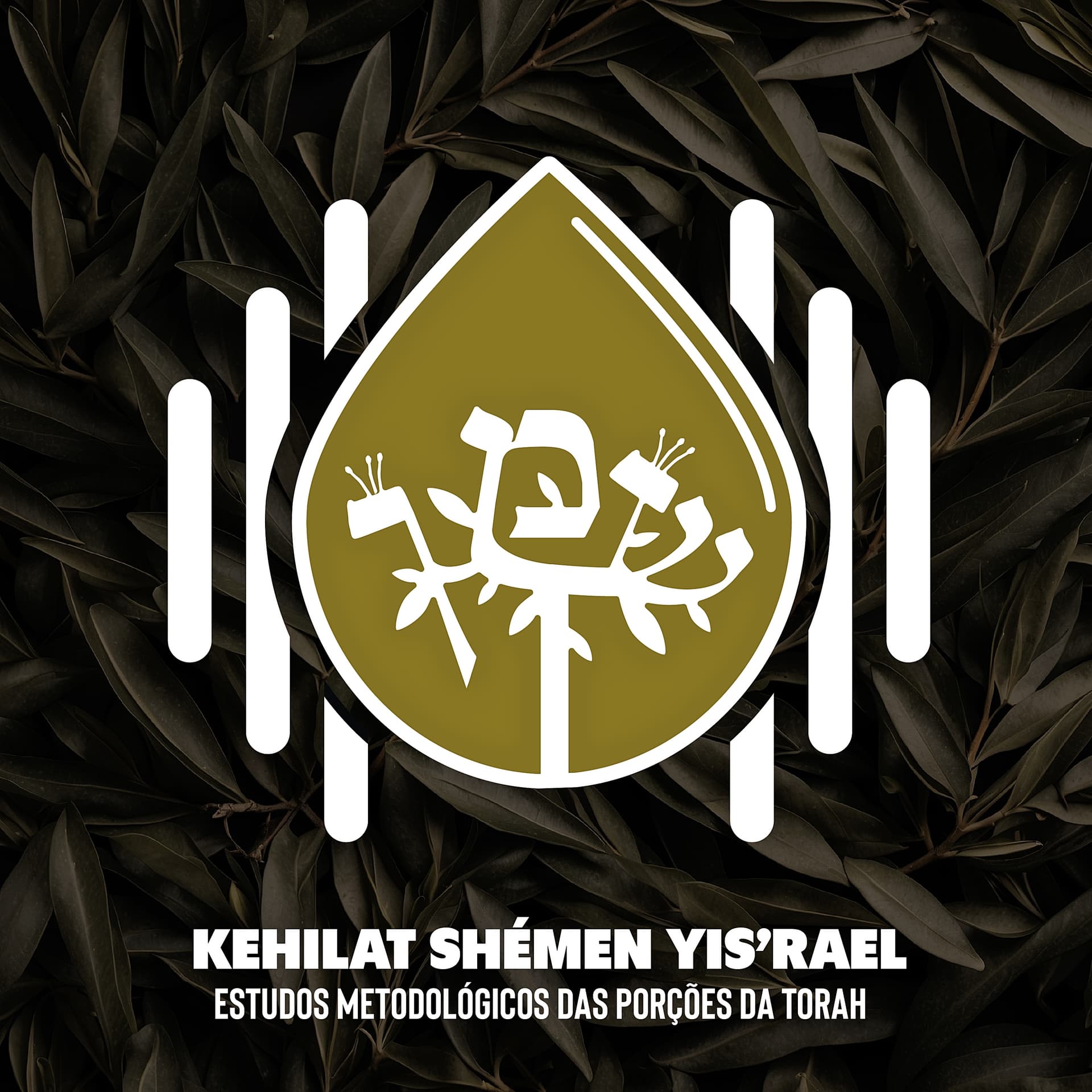 Parashah: Estudos aprofundados sobre a Torah. - Podcasts