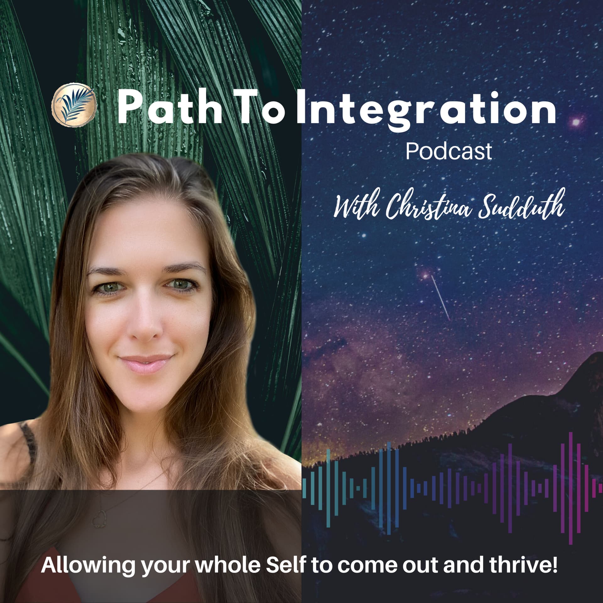 The Path To Integration Podcast - Podcasts