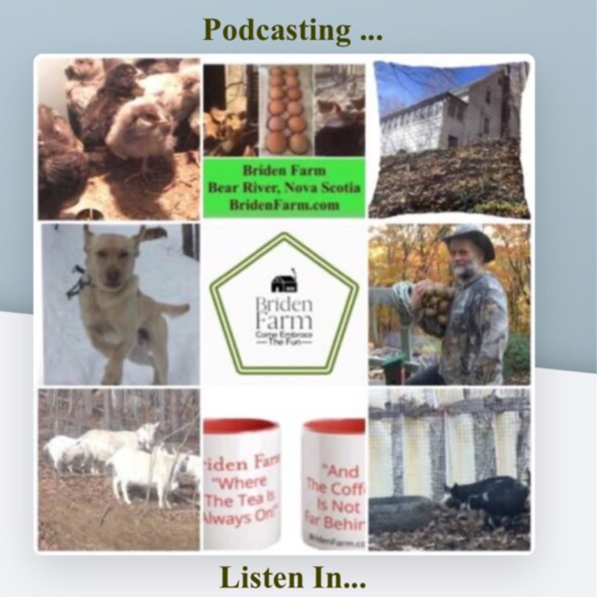 Briden Farm Podcasting - Podcasts