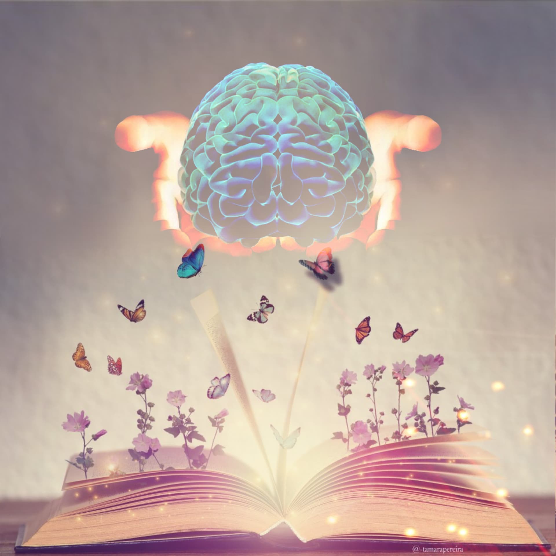 هدى القرآن - بودكاست
