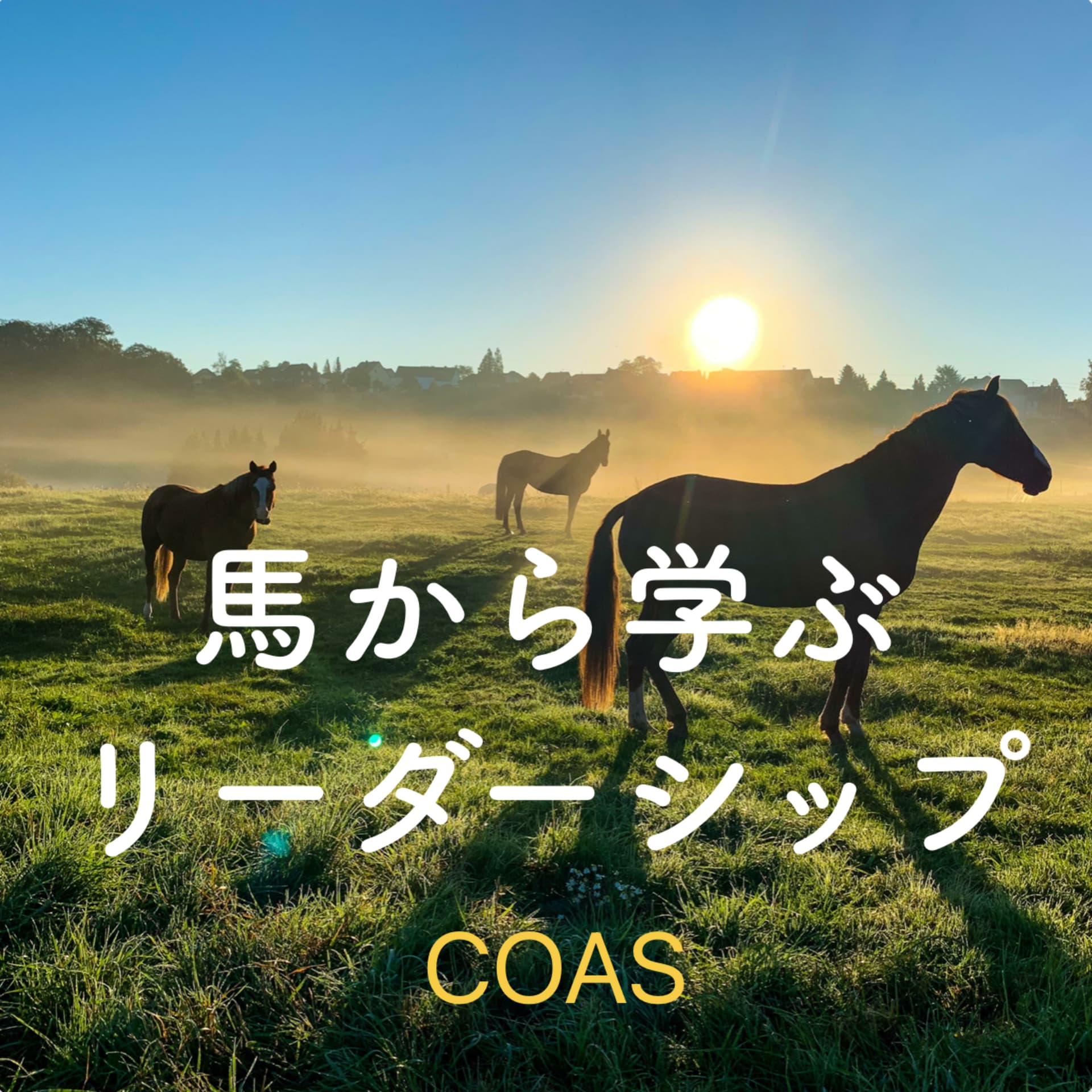 馬から学ぶリーダーシップ - ポッドキャスト