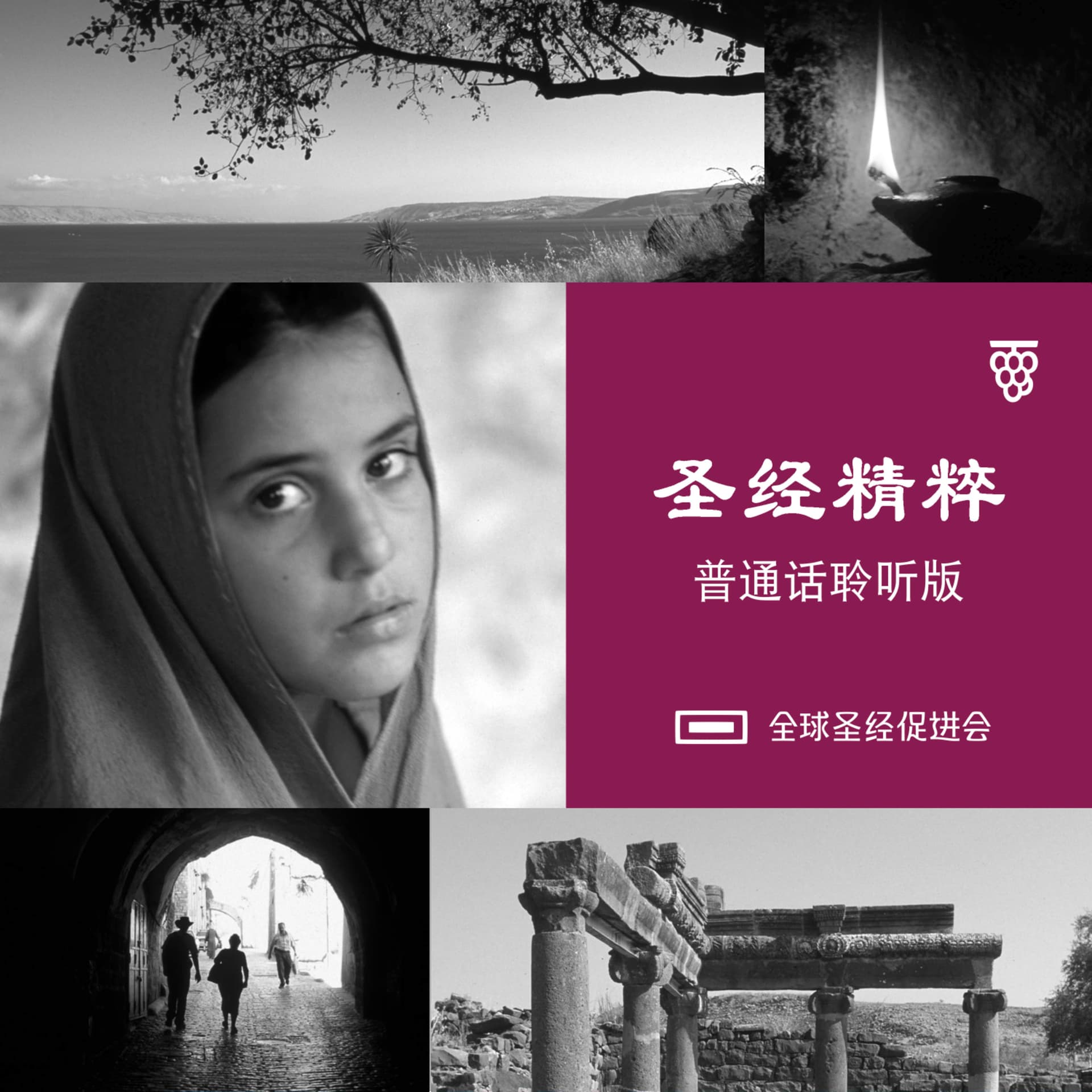 圣经精粹(普通话聆听版) - Podcasts