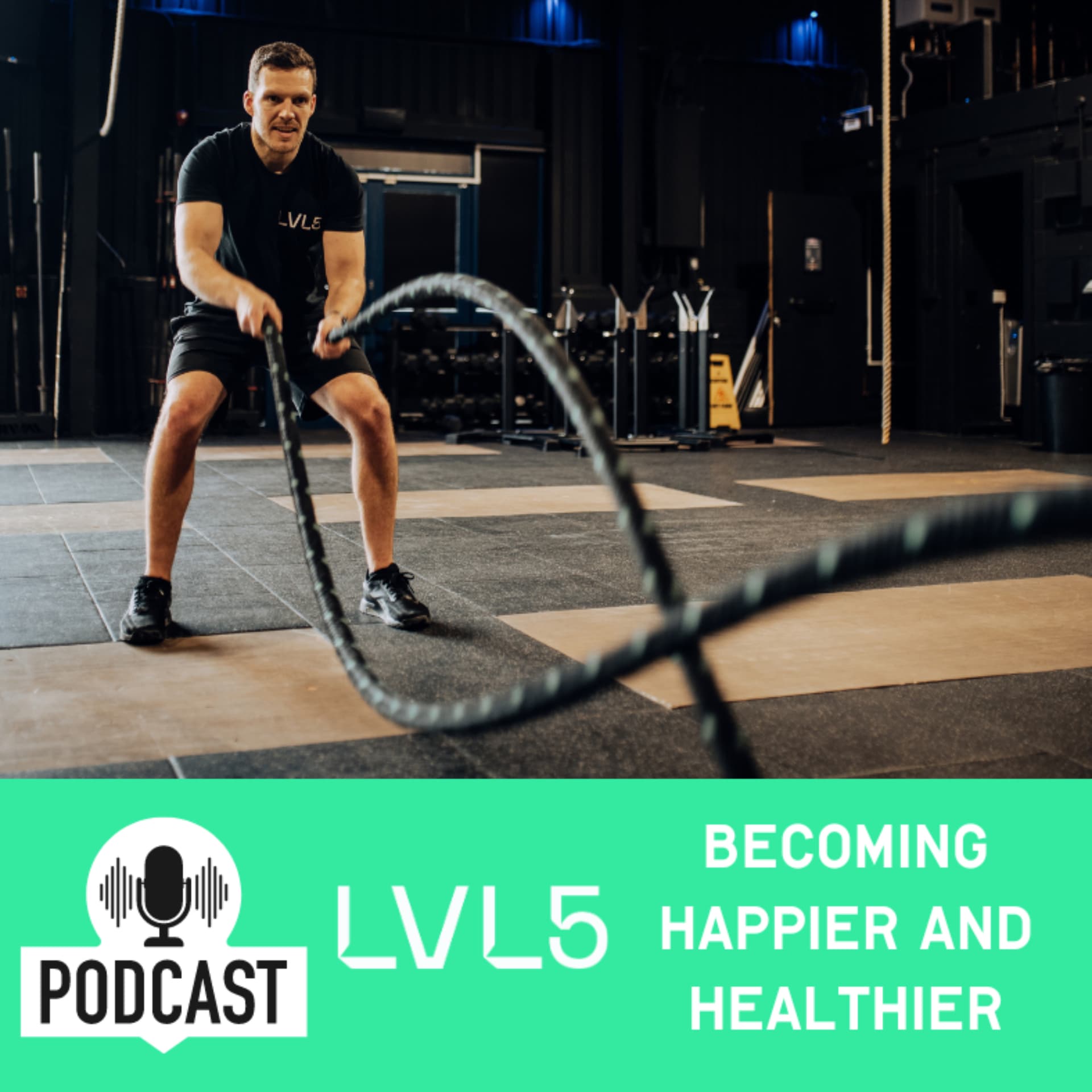 Becoming Happier and Healthier - Podcasts