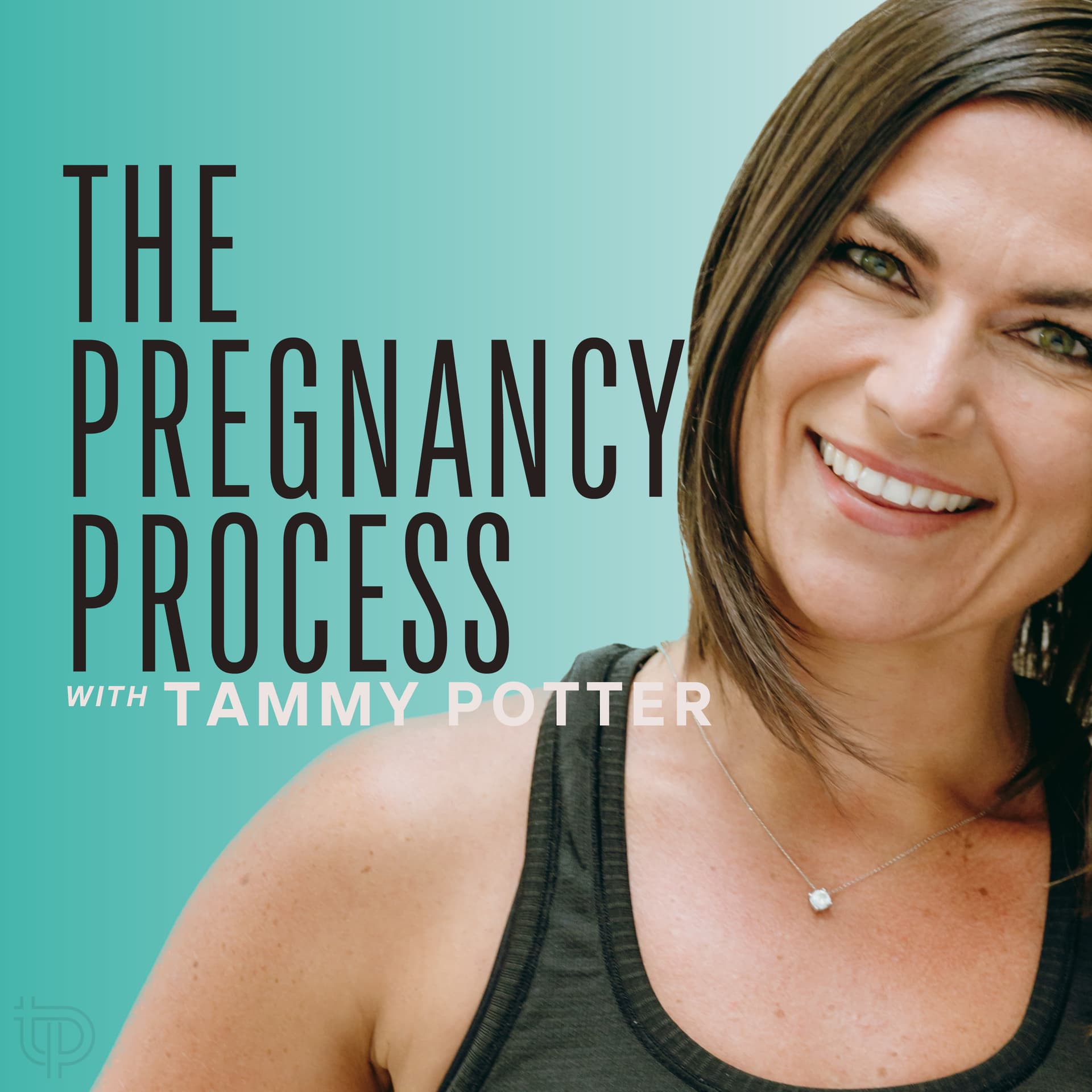 The Pregnancy Process Podcast - Podcasts