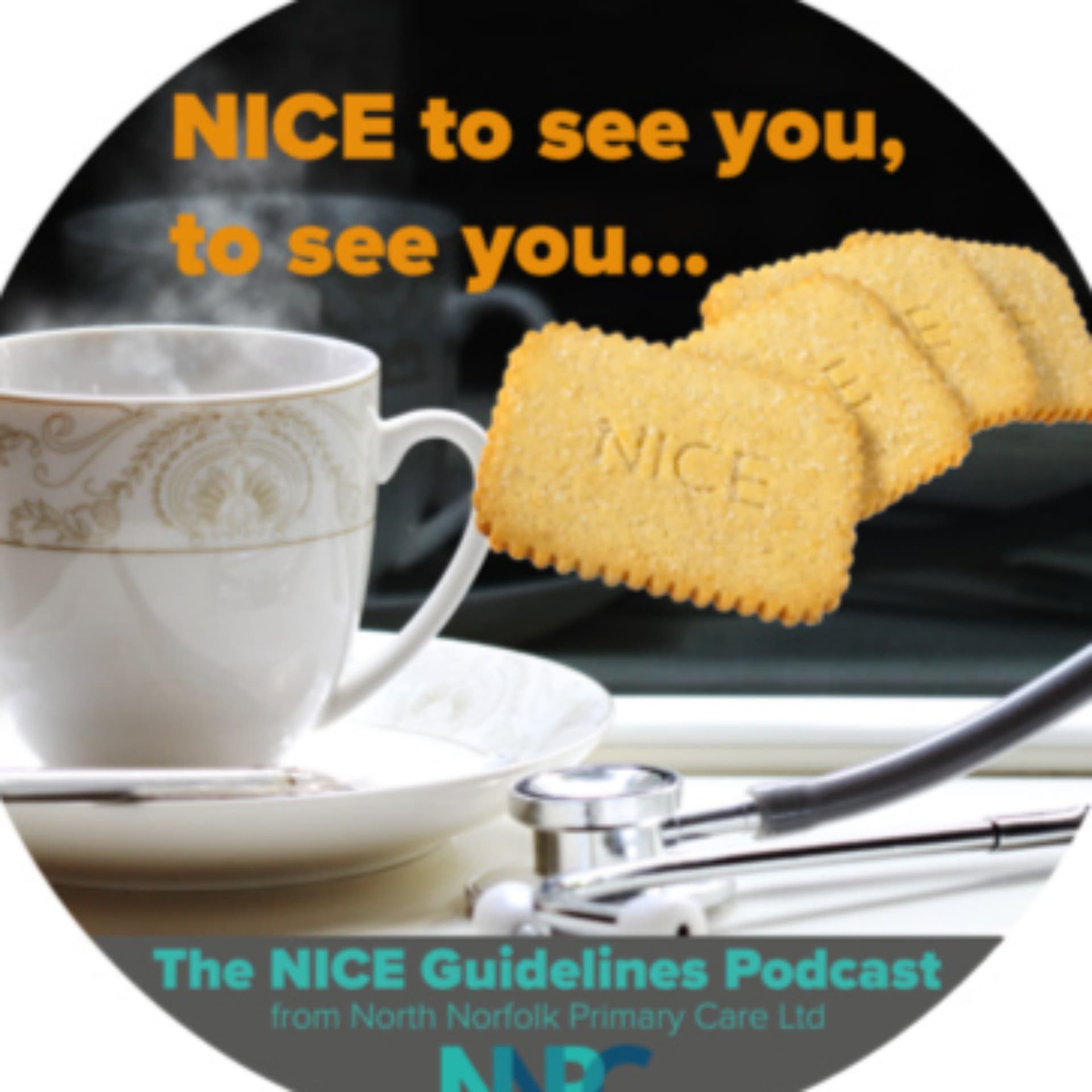 NICE to see you, to see you.....NICE ! - Podcasts