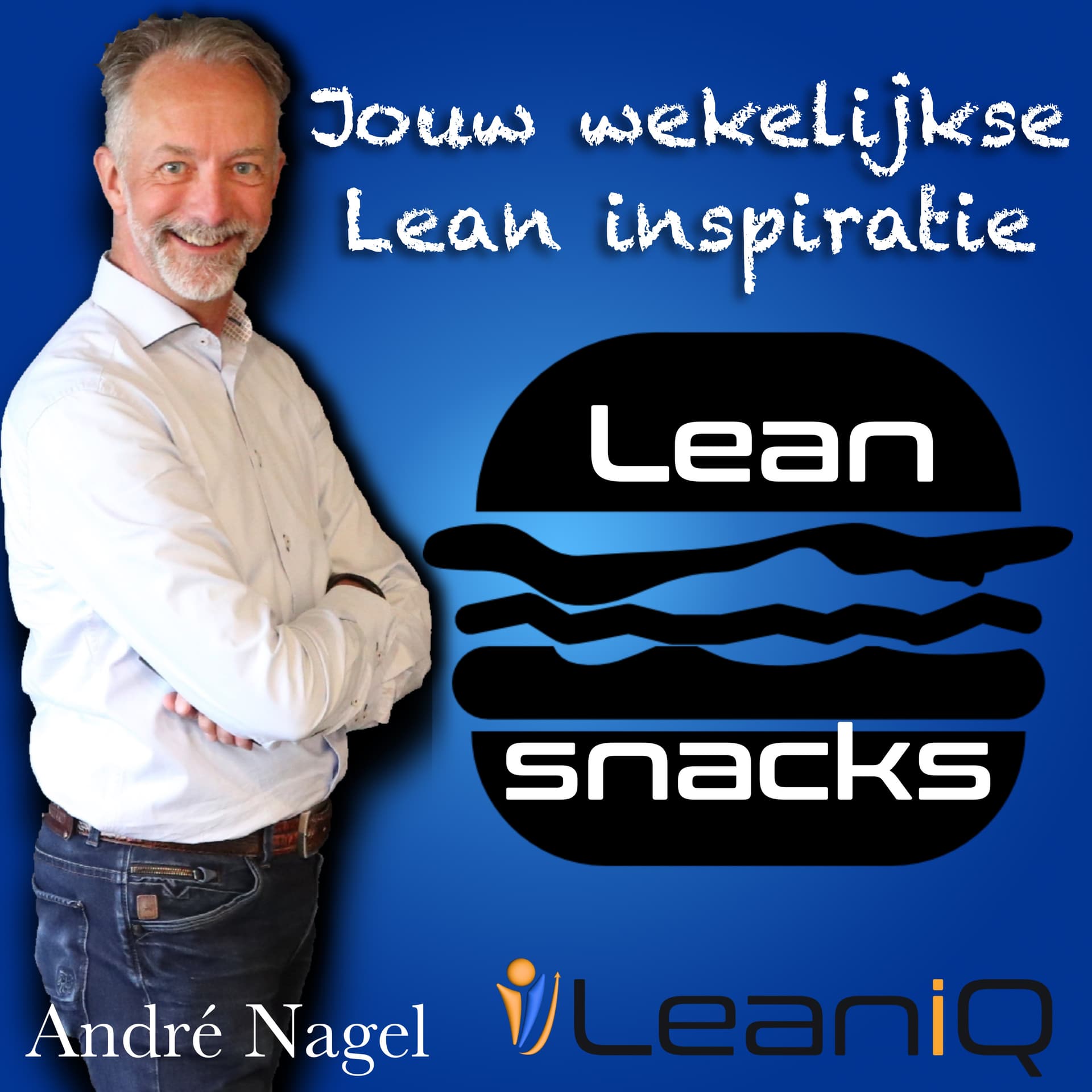 Lean snacks! Dé leanpodcast van Nederland - Podcasts