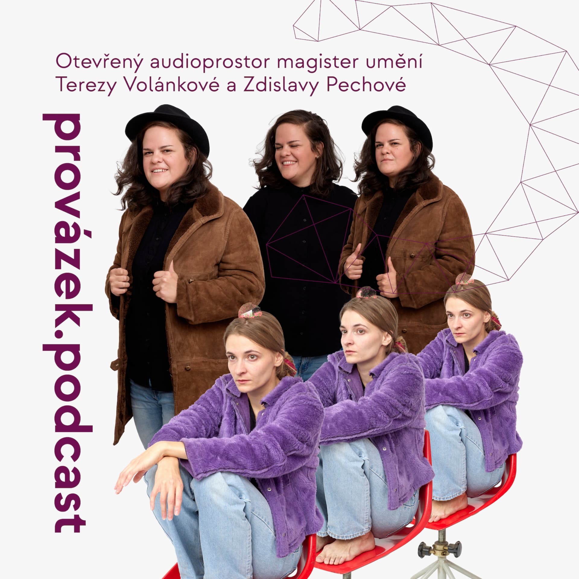 Divadlo Husa na provázku #prvzk.podcast - Podcast