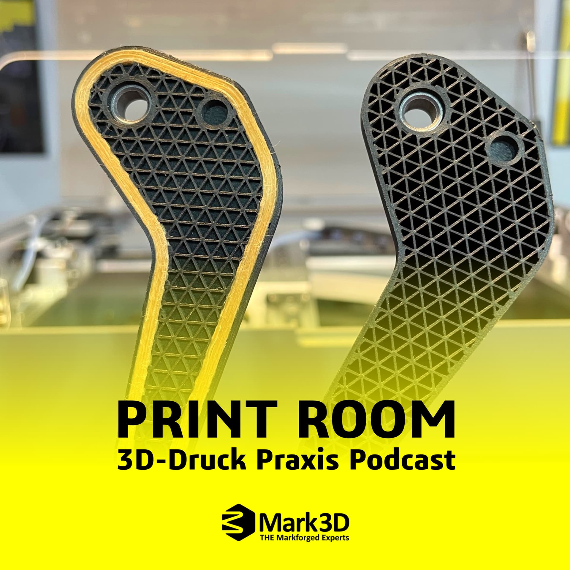 PRINT ROOM: 3D-Druck Praxis Podcast - Podcast
