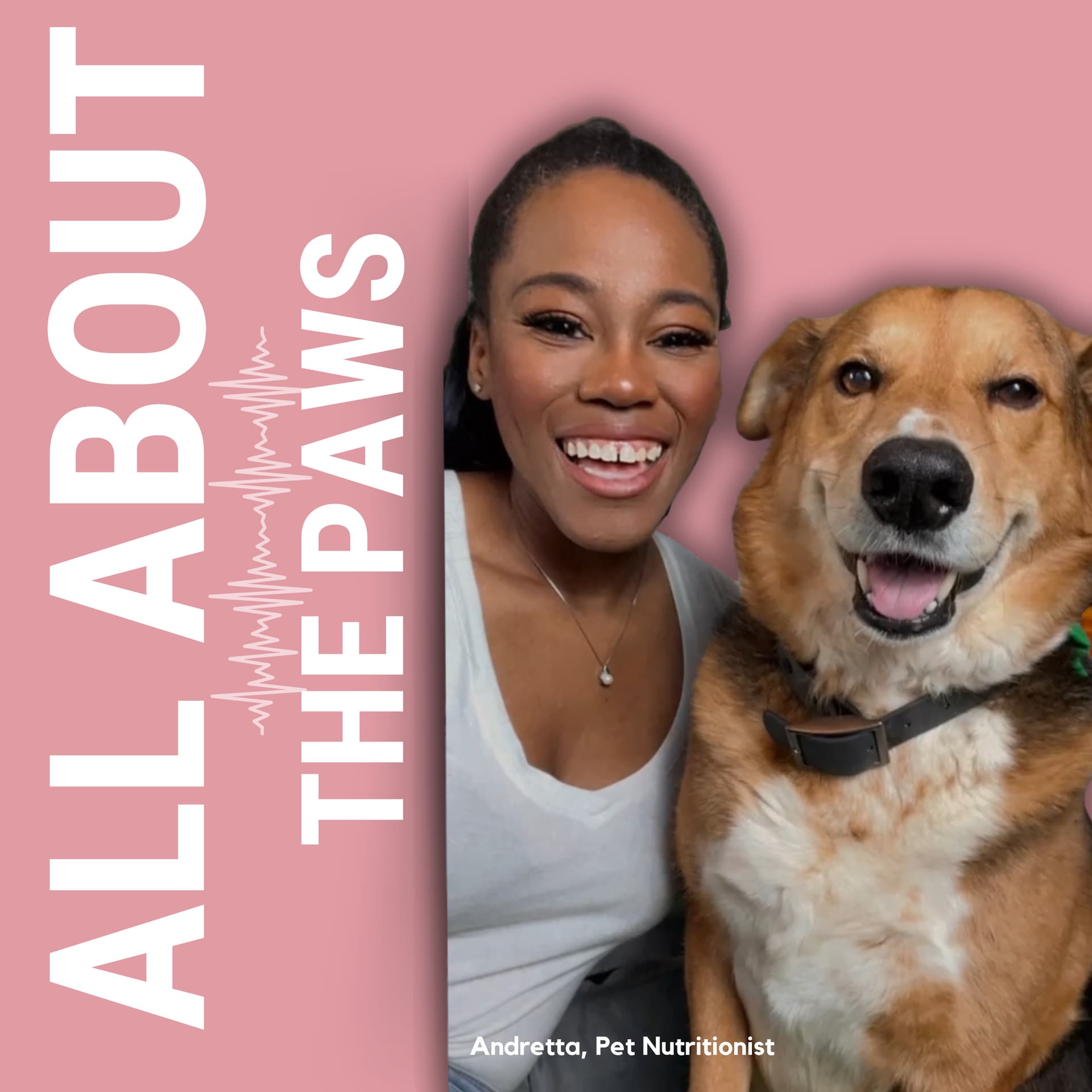 All About the Paws - Podcasts