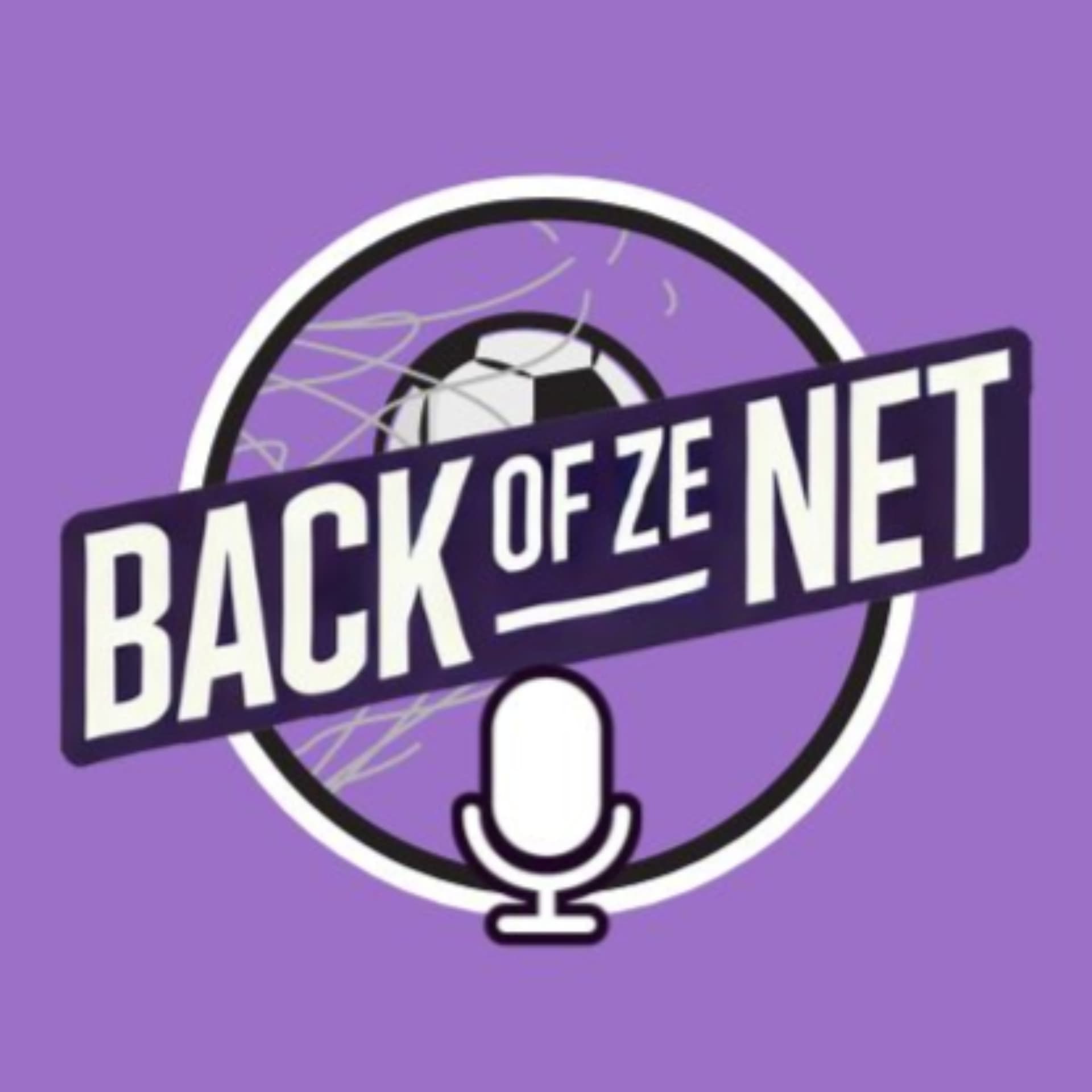 Back Of Ze Net - Podcasts
