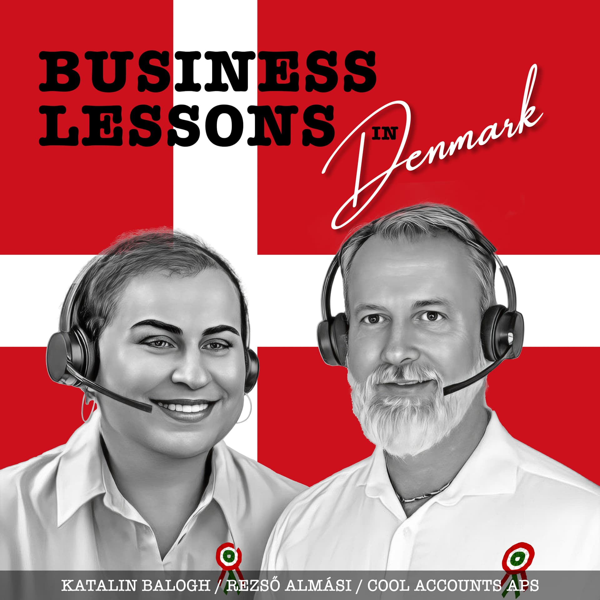 Business Lessons in Denmark - Podcasts
