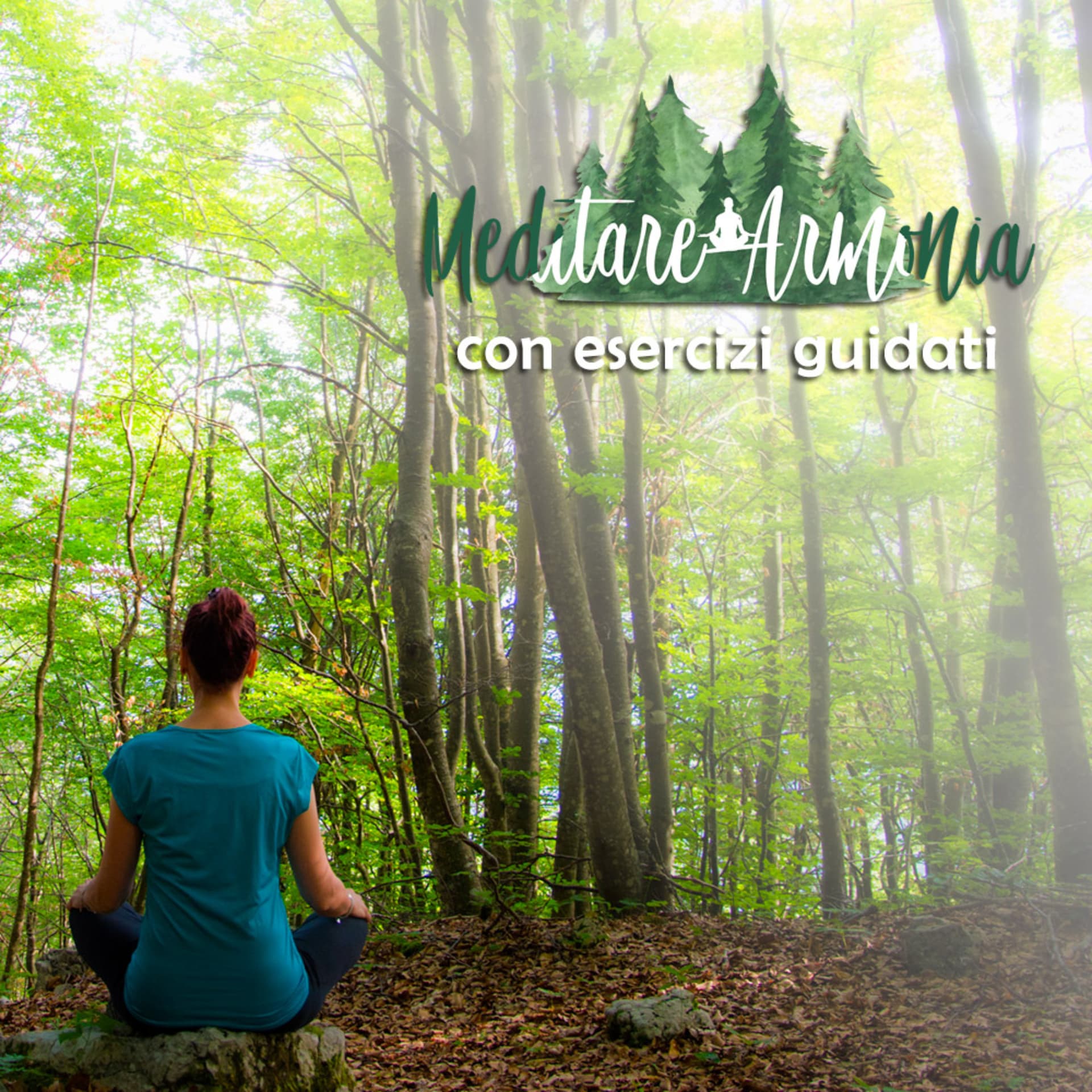 MeditareArmonia - Podcast