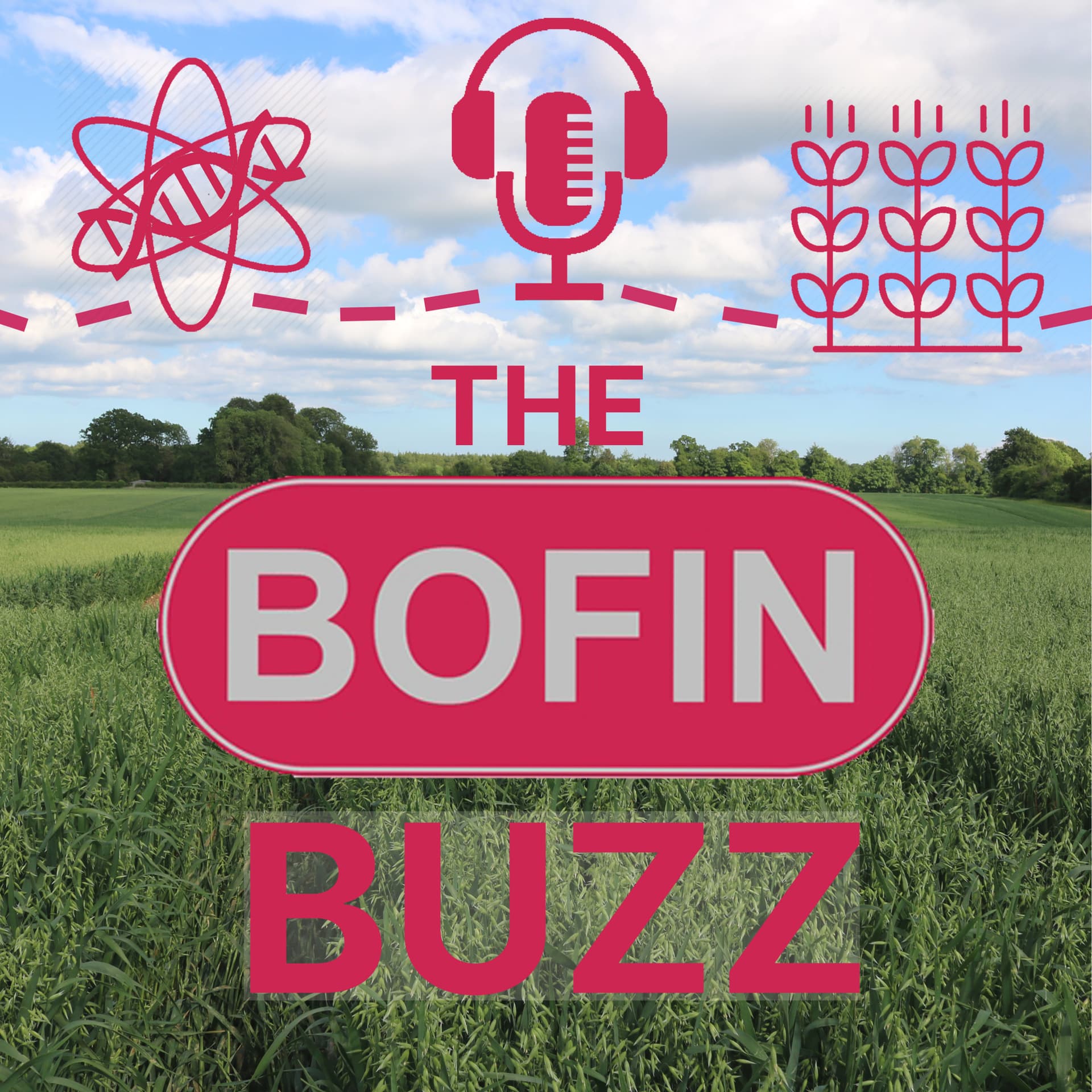 The BOFIN Buzz - Podcasts