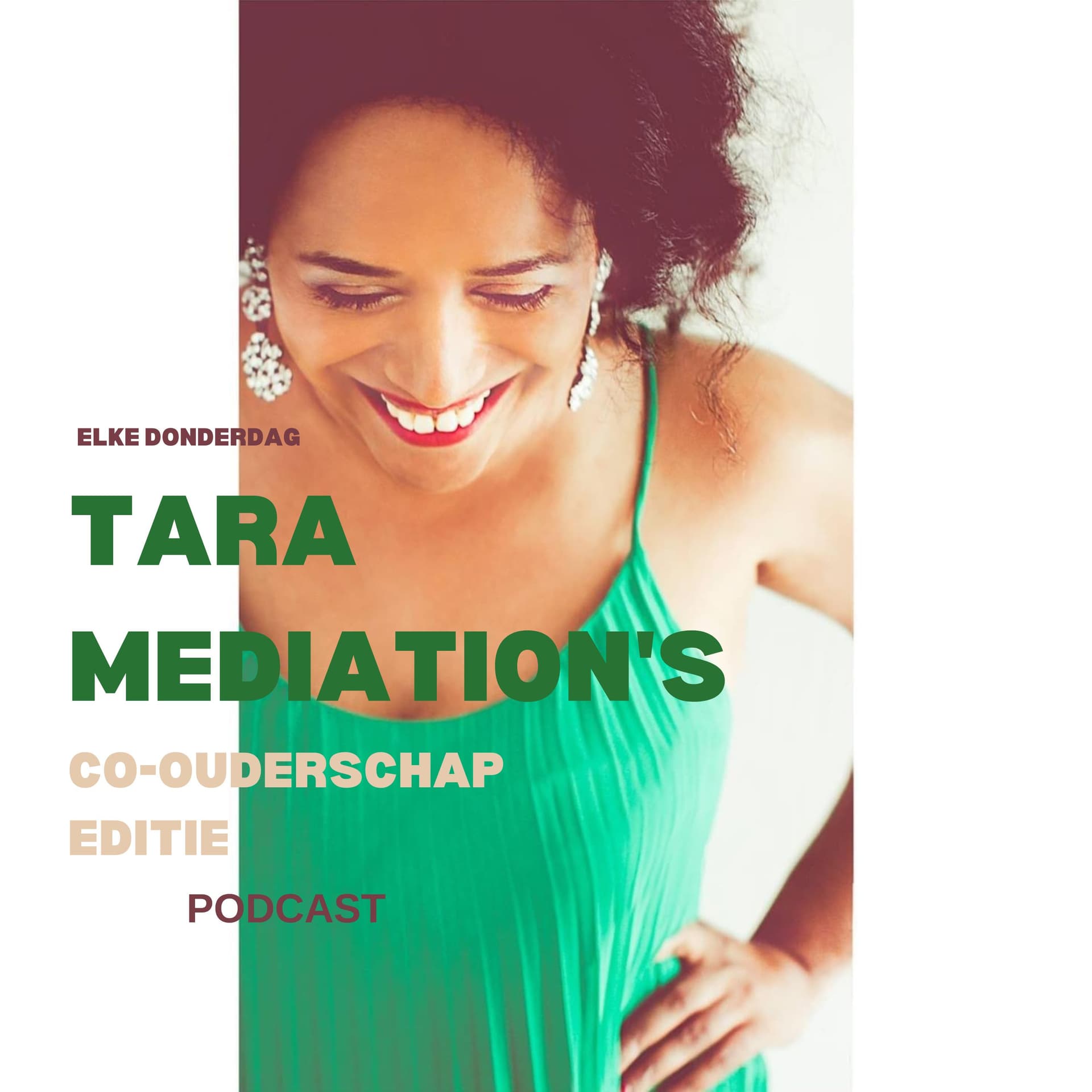 Tara Mediation's Co-ouderschap Editie - Podcasts