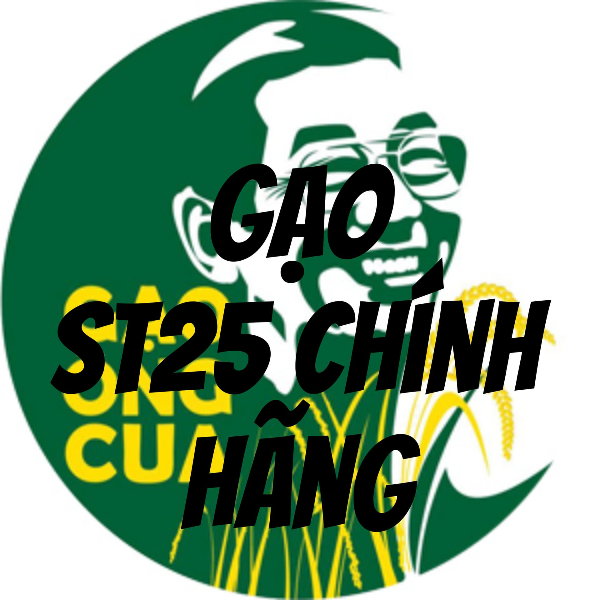Gao ST25 Chinh Hang - Gao Ong Cua - Podcast