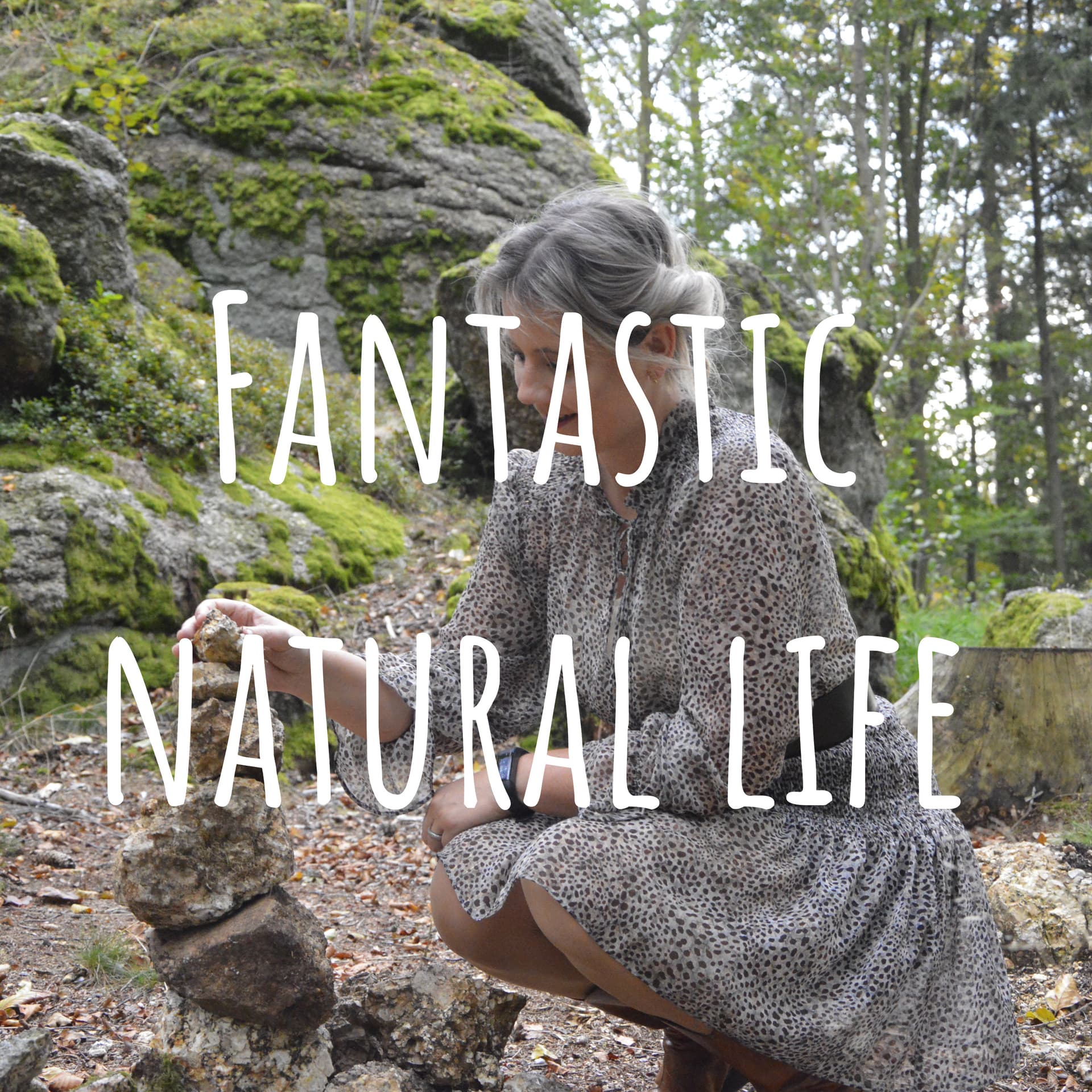 Fantastic natural life - Dein Podcast für mehr Leichtigkeit im Leben - Podcasts