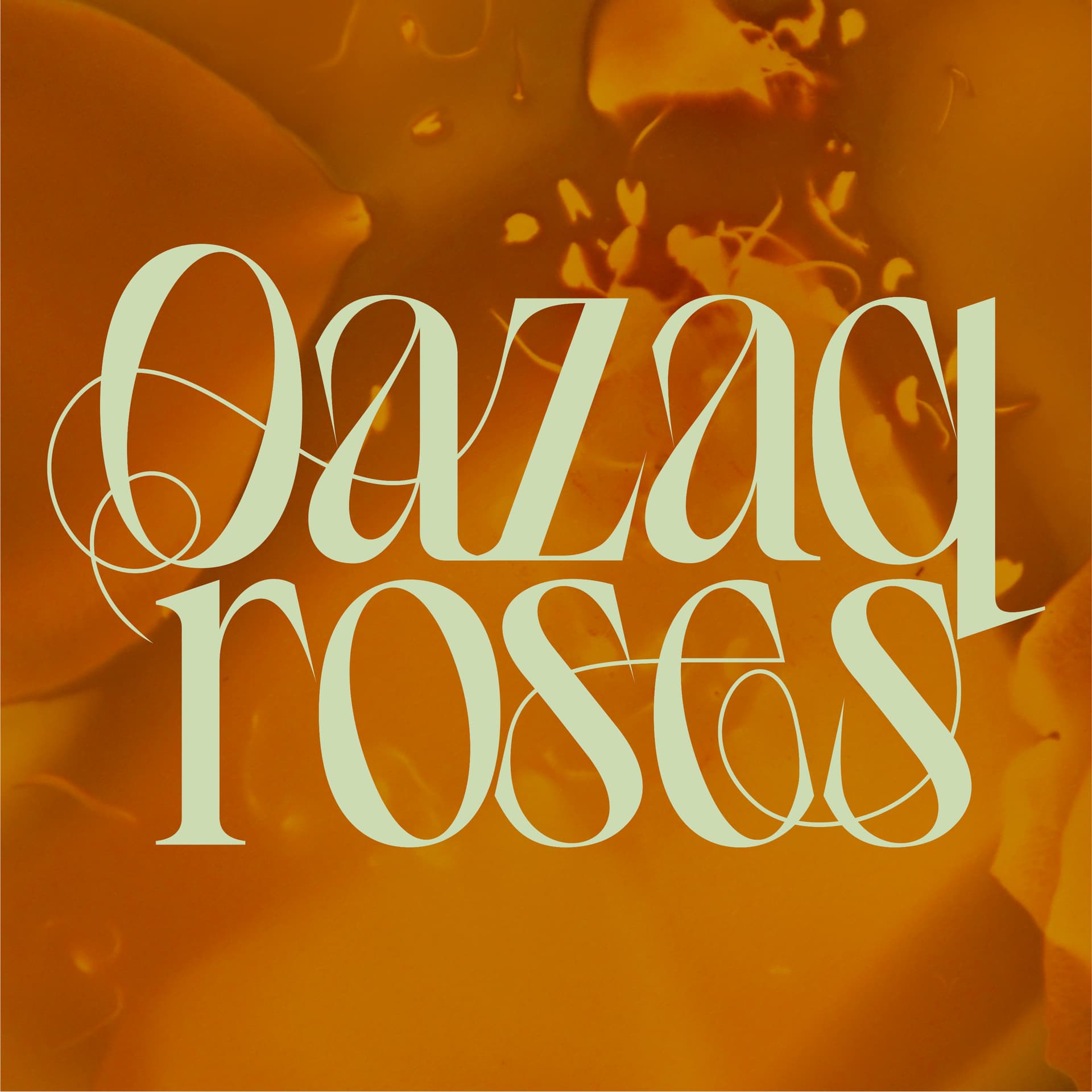 Qazaq Roses - Podcasts