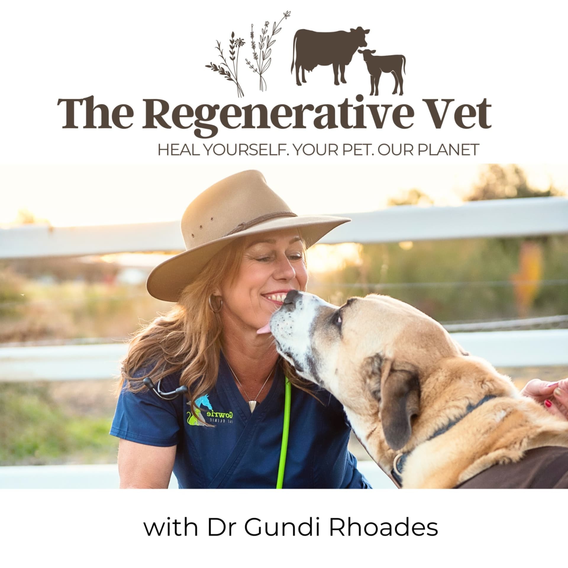 The Regenerative Vet - Podcasts