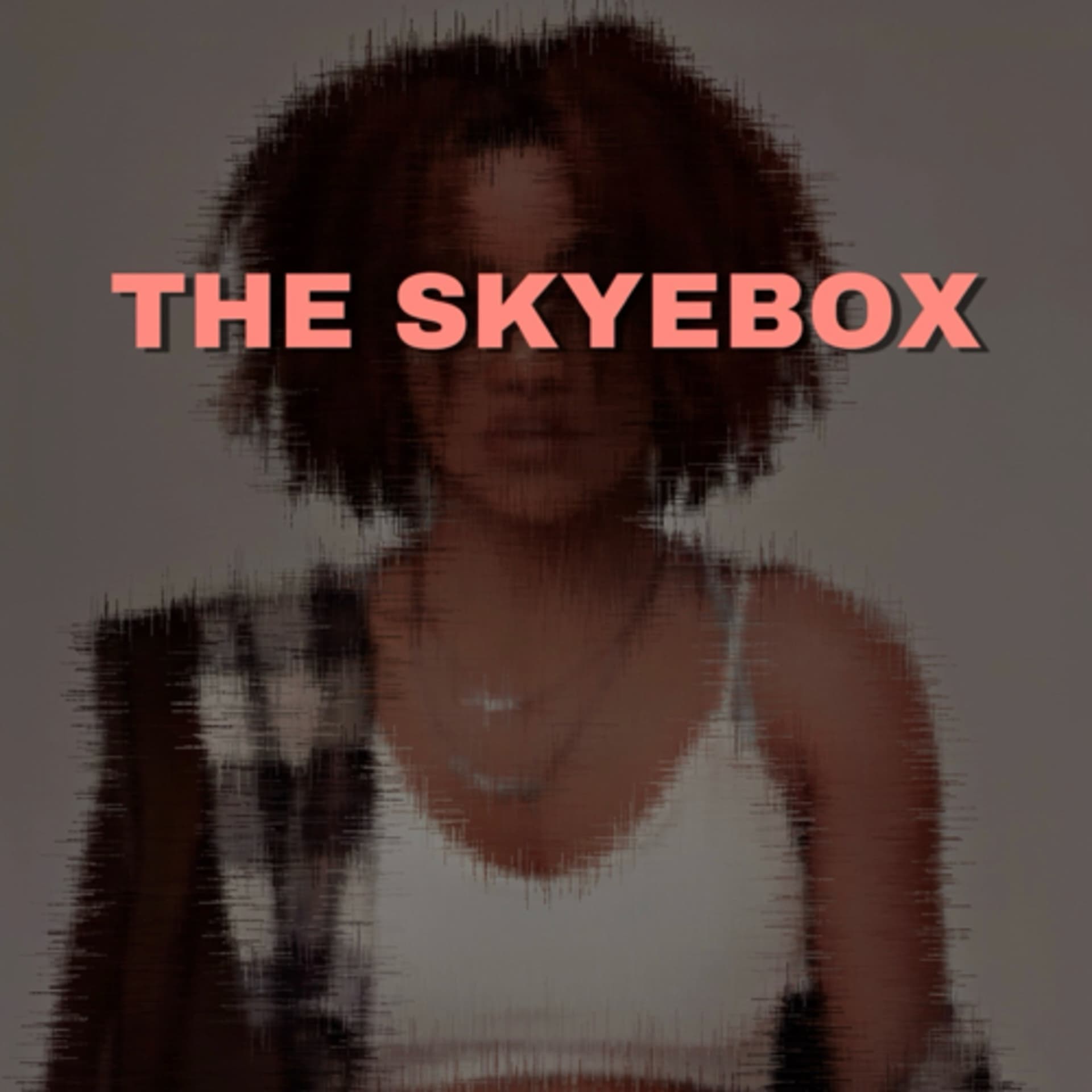 The Skyebox - Podcasts