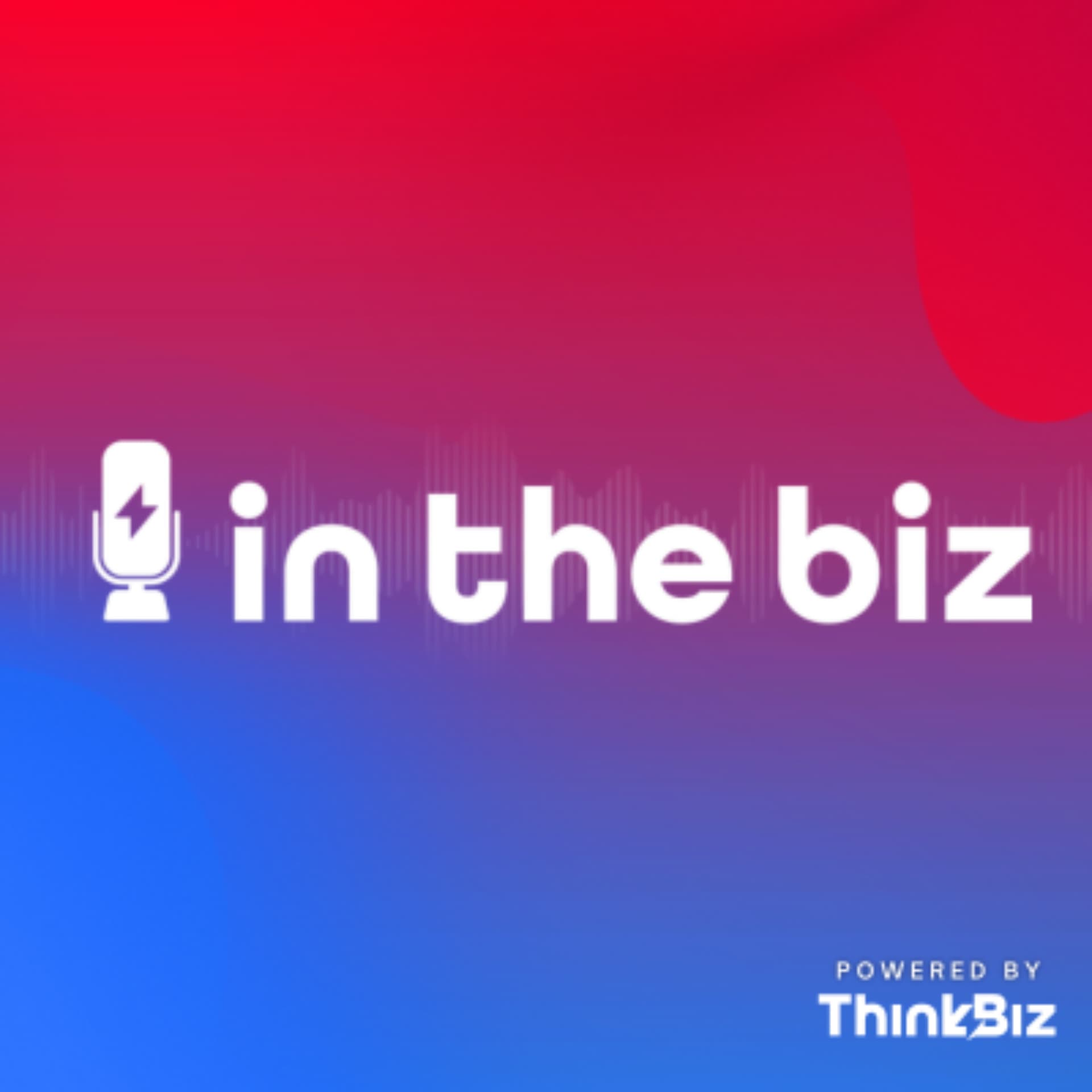 In The Biz - Podcast