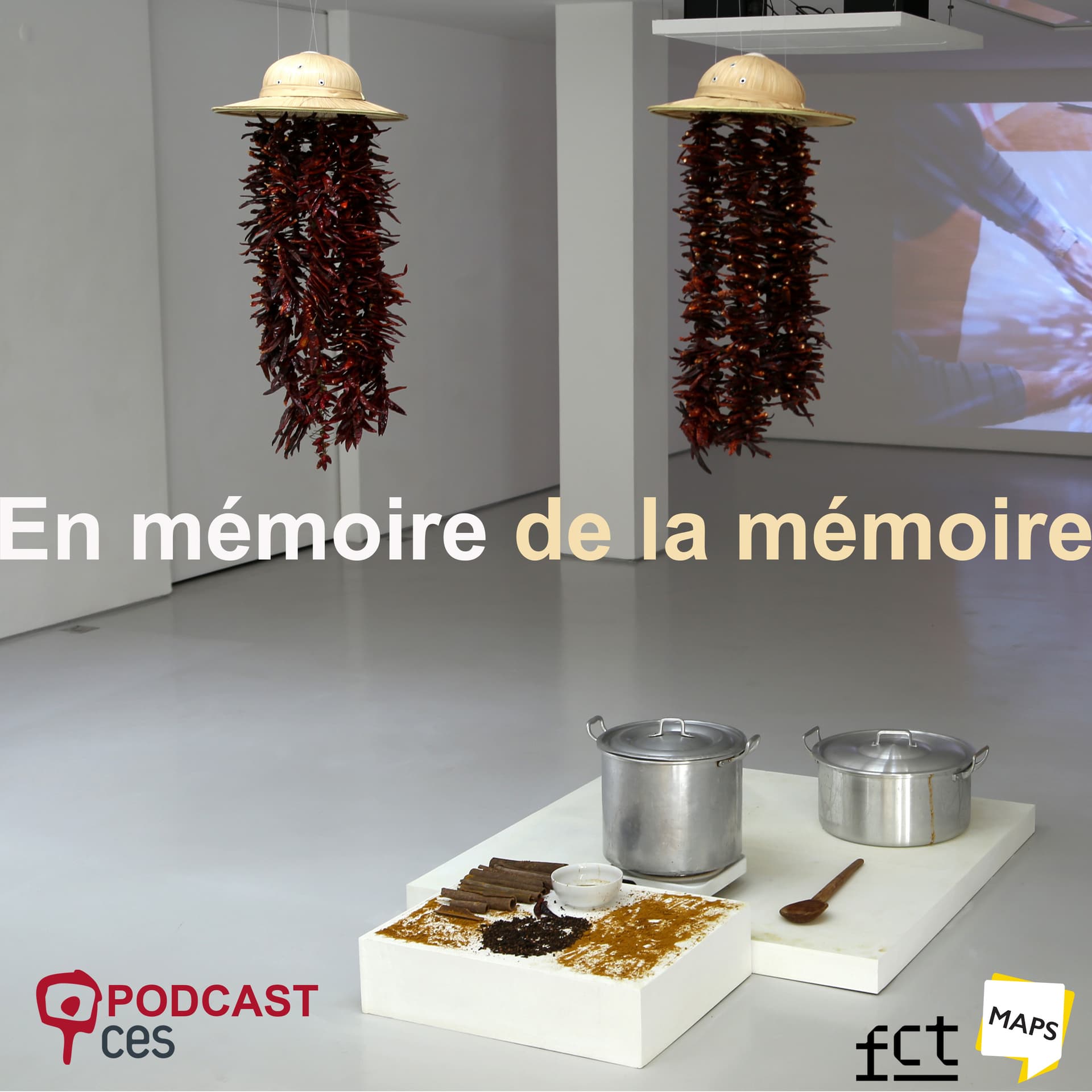 En Mémoire de la Mémoire - Podcasts