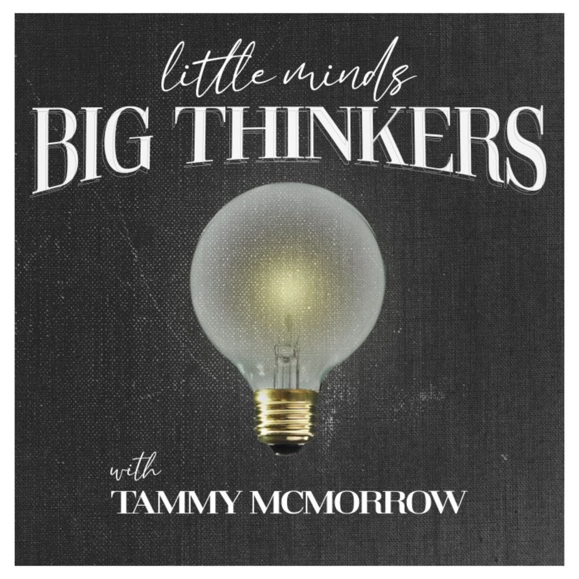 Little Minds Big Thinkers - Podcasts