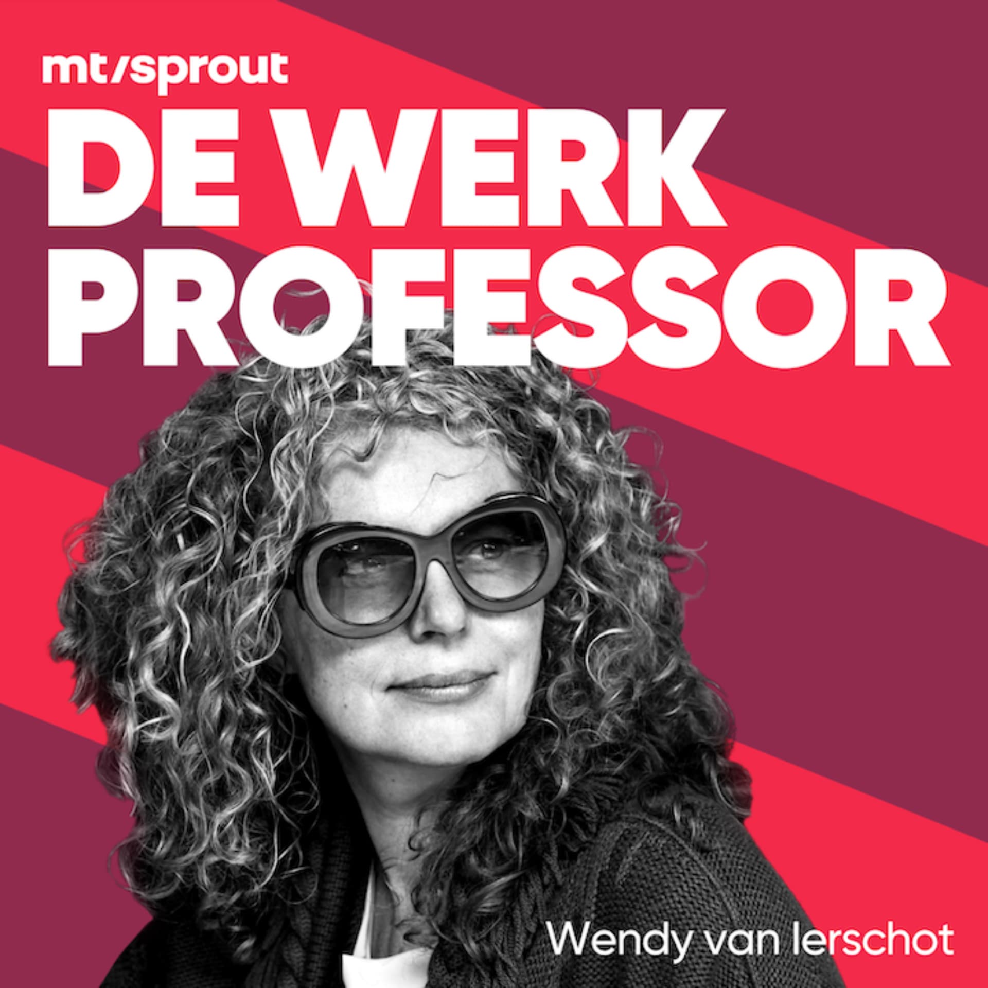 De Werkprofessor - Podcasts