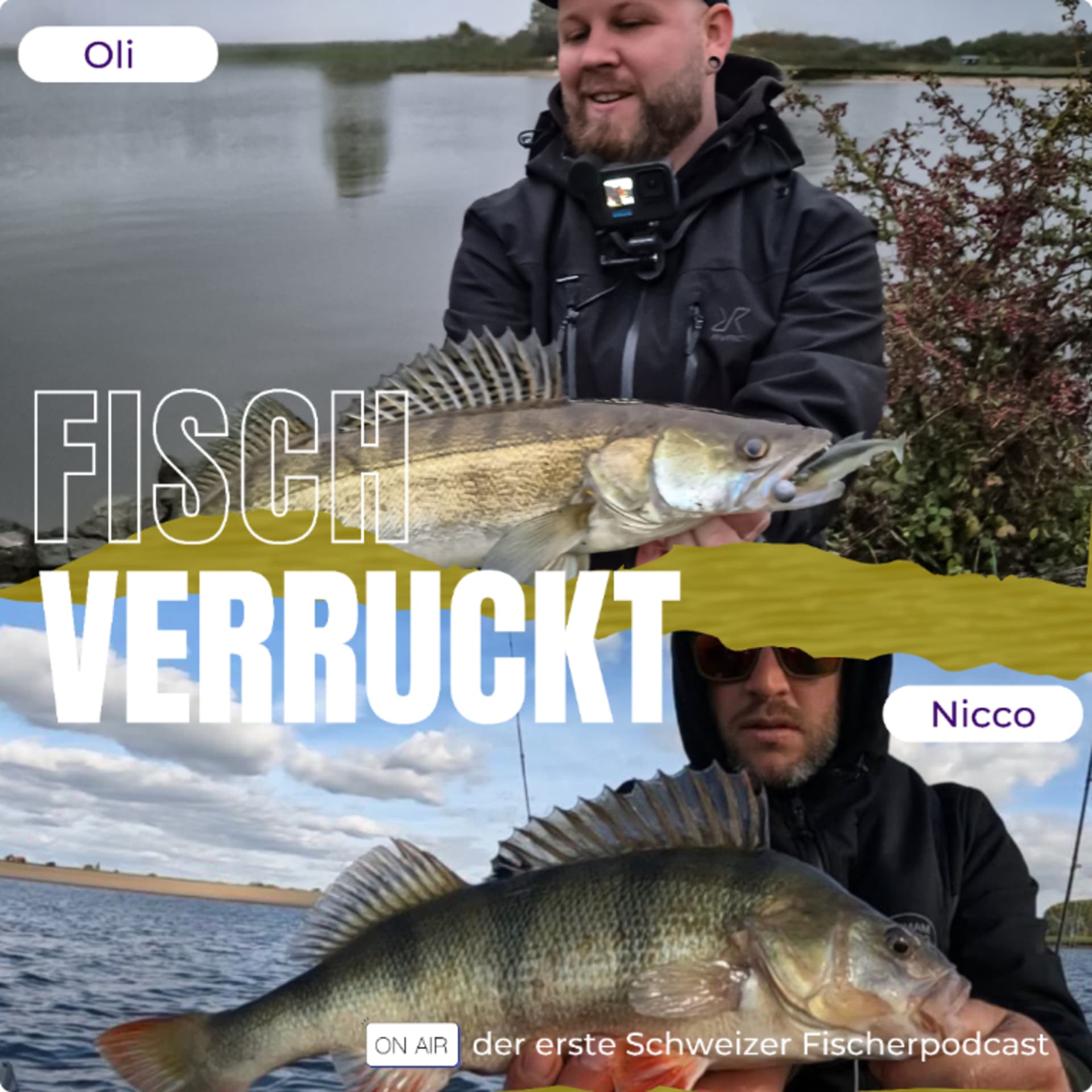 FischVerruckt - Podcasts