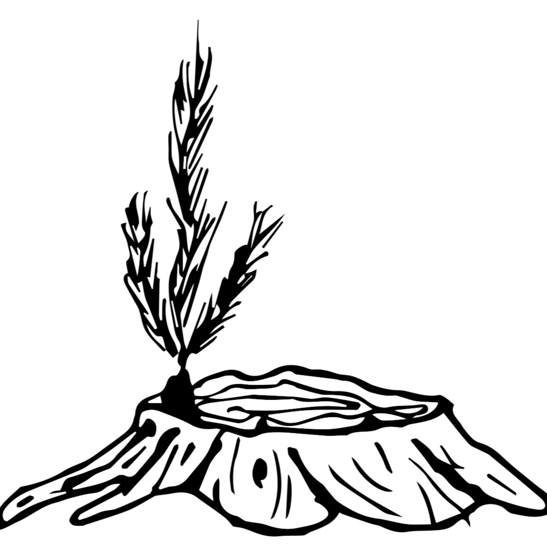 Seedling Church - Podcasts