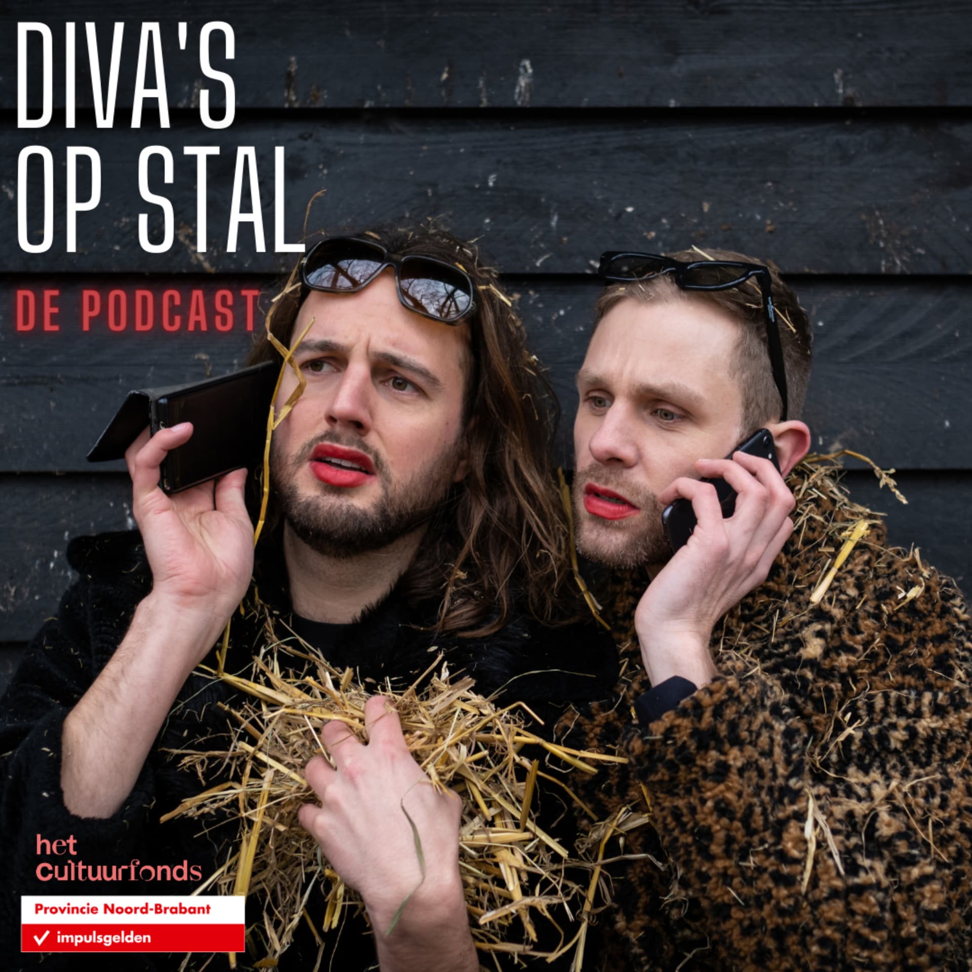 Diva's op Stal - Podcasts