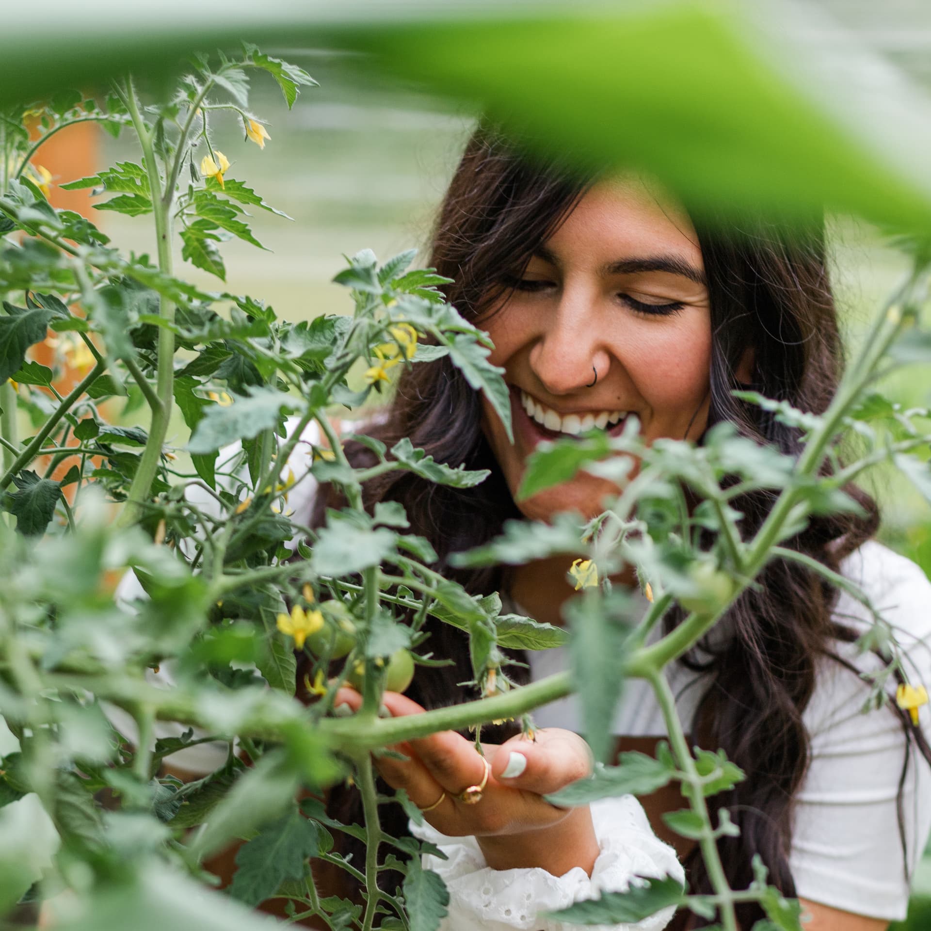 Made to Flourish - Podcasts
