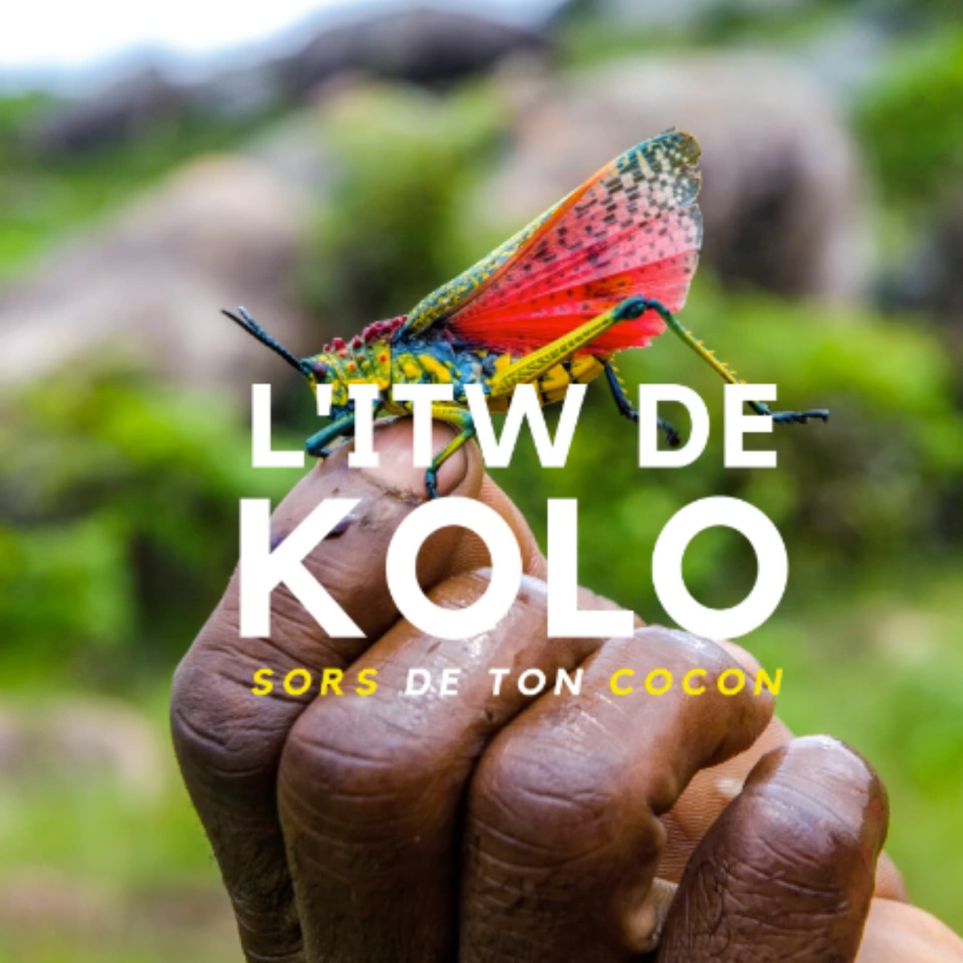 L'ITW DE KOLO - Sors de ton cocon - Podcasts