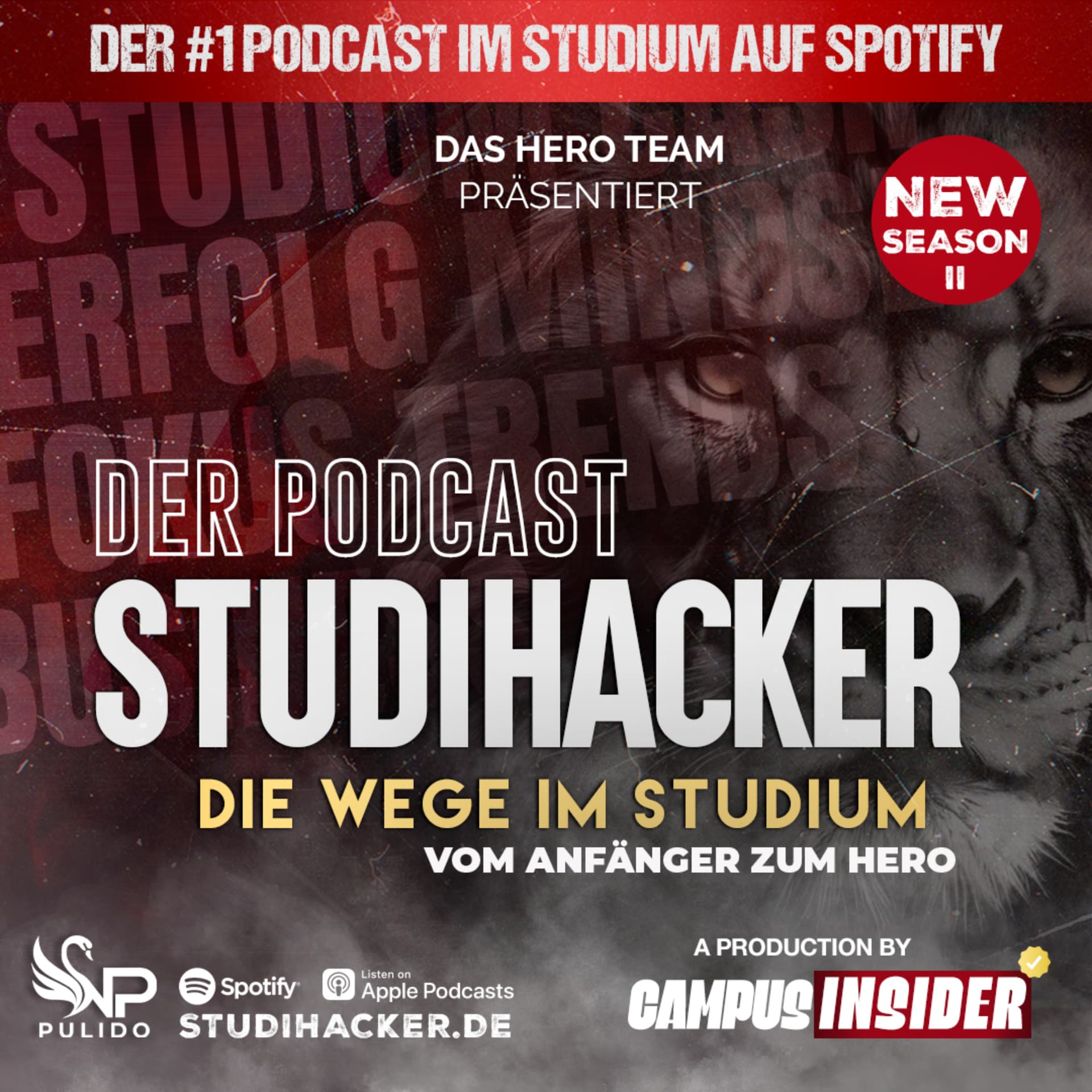 Der Studihacker – Die Wege im Studium - Podcasts
